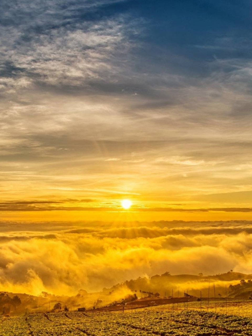 阳光透过云层,洒下万丈光芒,映照得这片云海闪闪发光,美得让人窒息.