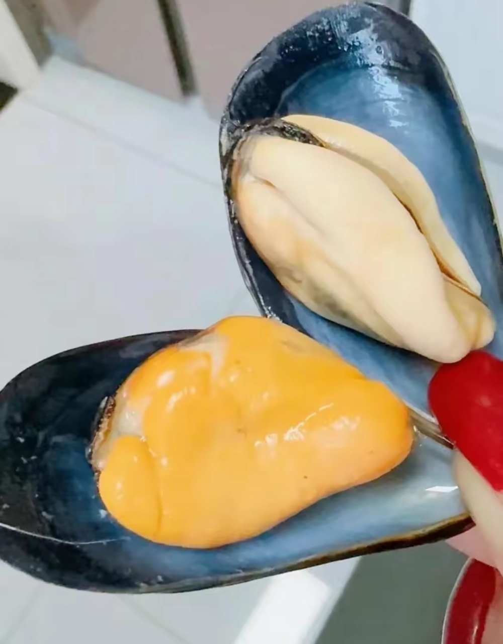 海虹的肉为什么有两种颜色? 海虹又叫做淡菜!又叫做贻贝,青口贝!