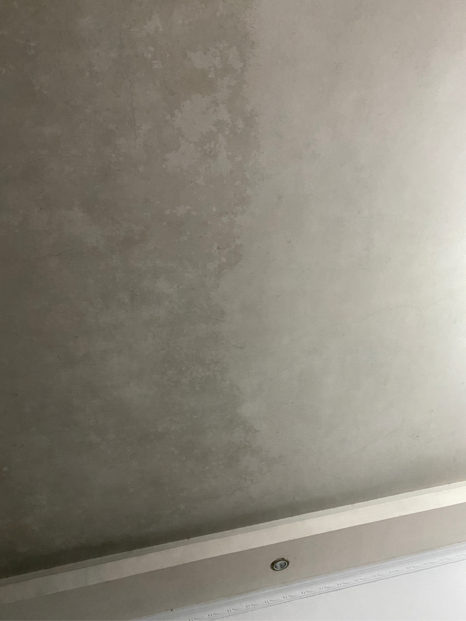 春季潮湿屋顶发黑 天气转热 黑顶退潮般每周自南向北(从阳台方向开始)