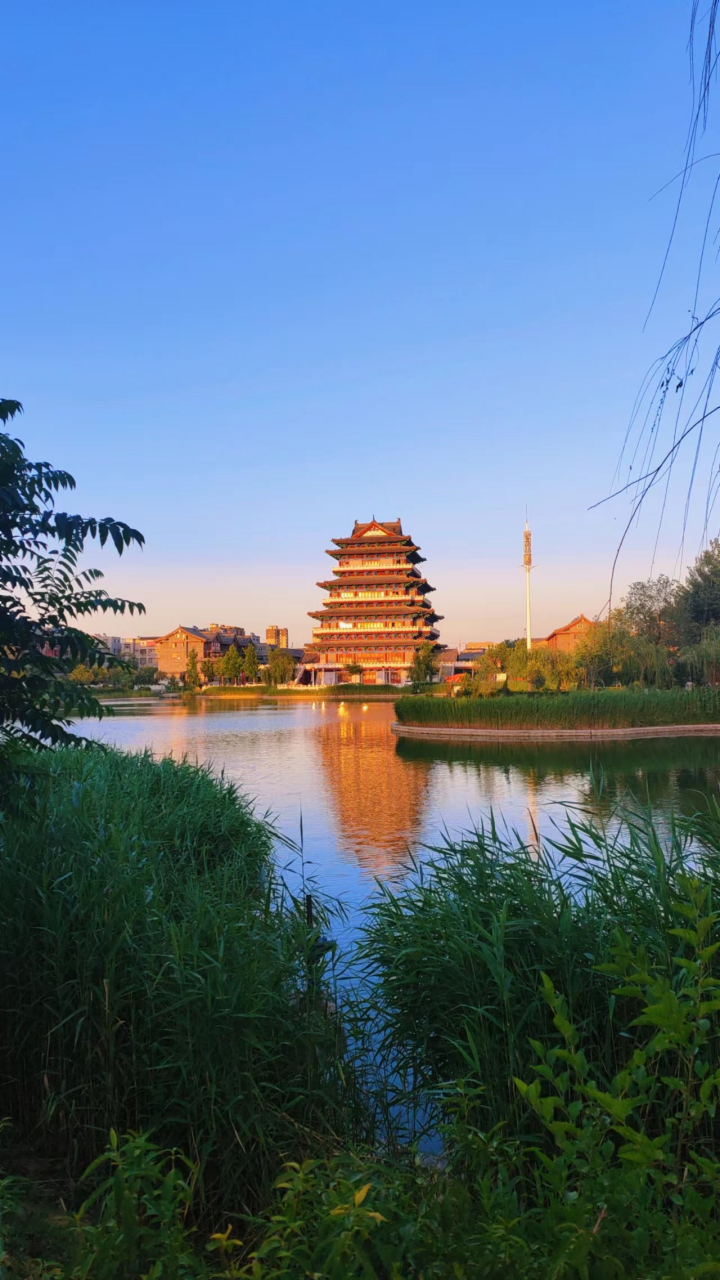 山东旅游,聊城阳谷美丽紫汇湖景区,狮子楼旅游区对面,宁静而安详的大