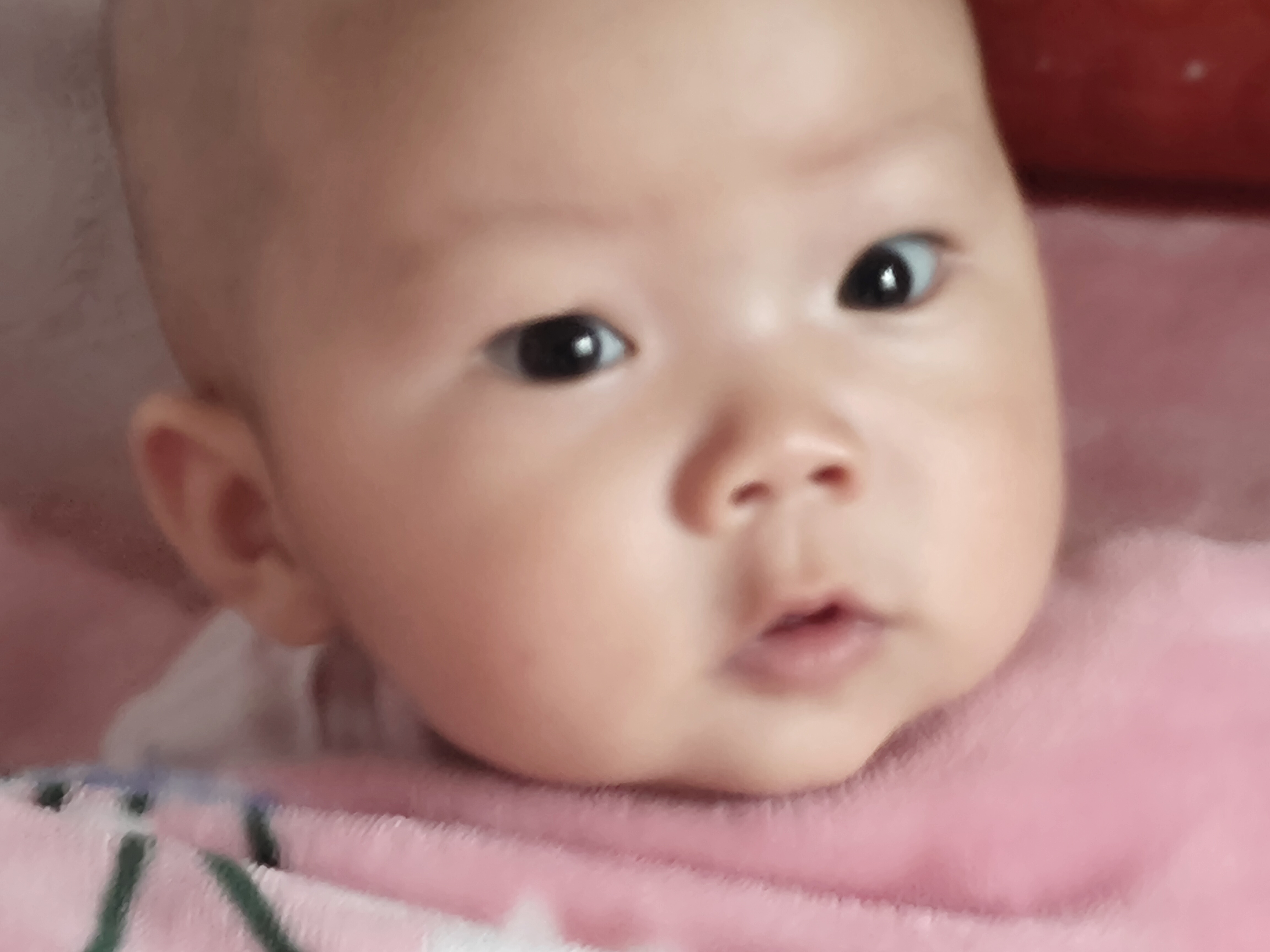 大眼睛,小萌娃.