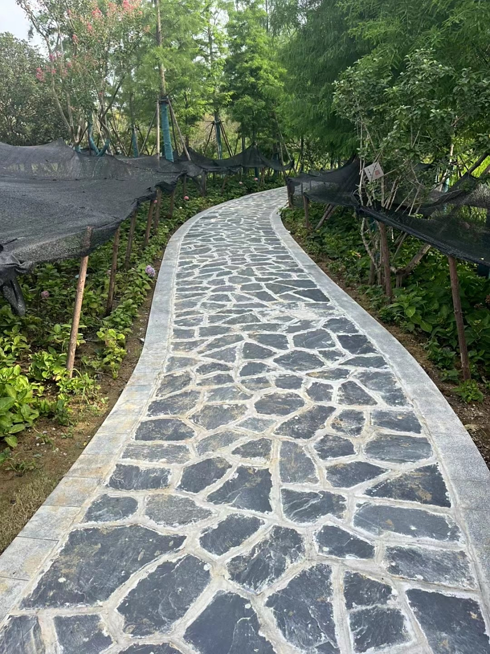 9993步入这条青石板碎拼石灰色石板小路仿佛踏入了另一个世界.