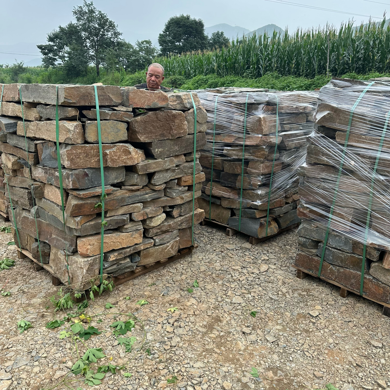 公园景区天然垒墙石厂家#垒墙石# 不规则砌墙石块天然石材厚度可定制