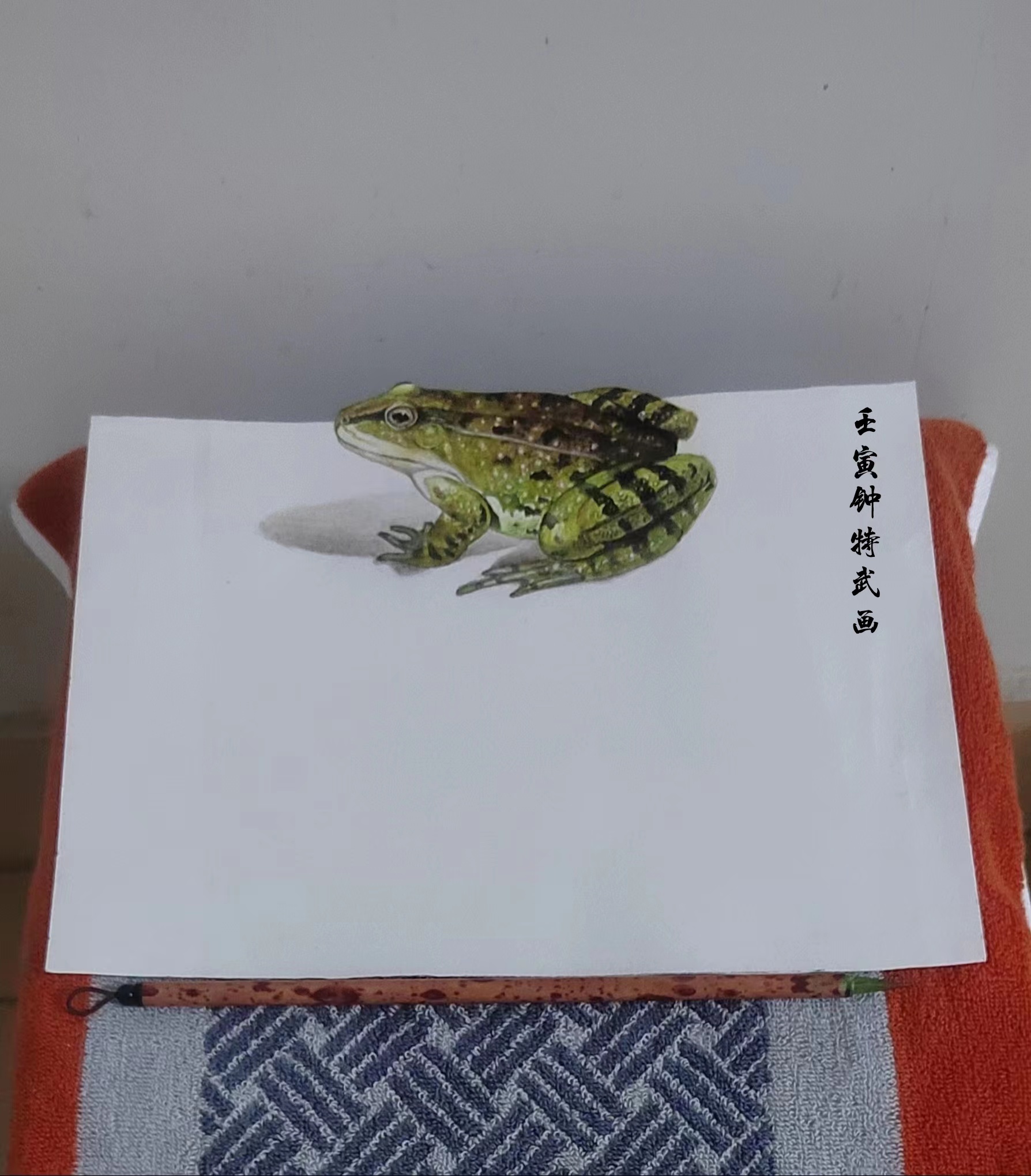 立体画青蛙.3d手绘