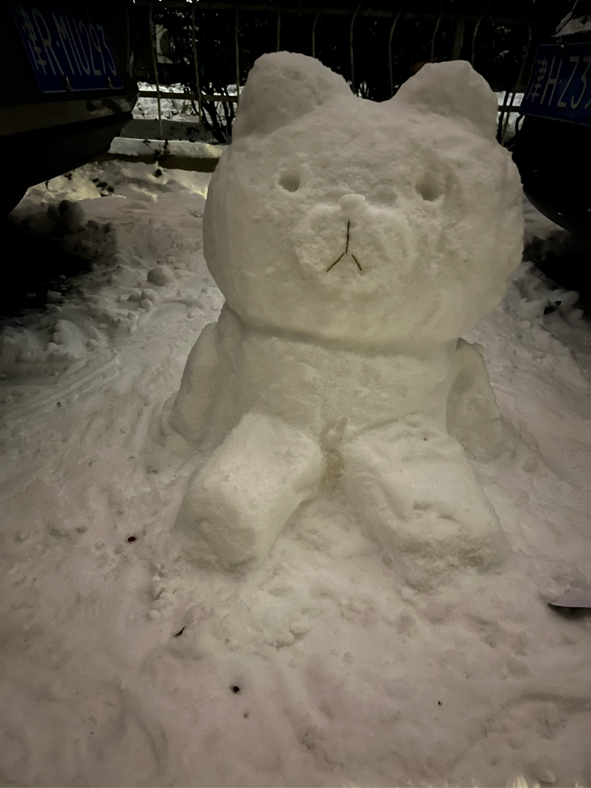 化了的雪人图片大全图片