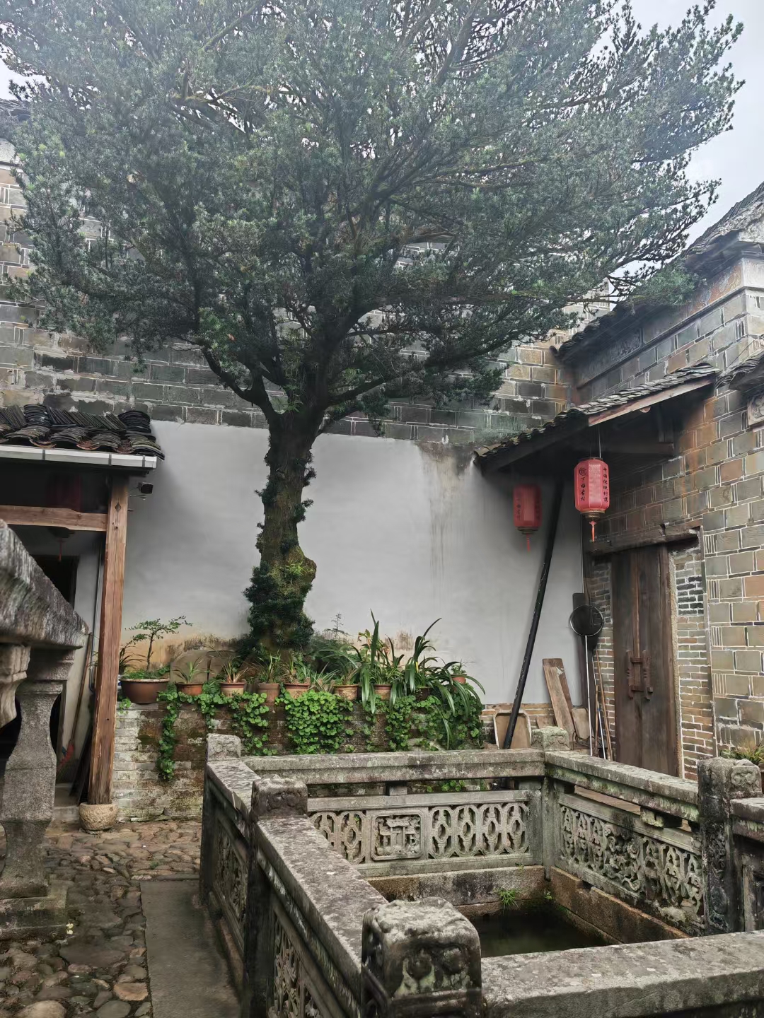 下梅村坐落在武夷山市东部,距市区6公里,南依武夷山风景区,梅溪从宋代