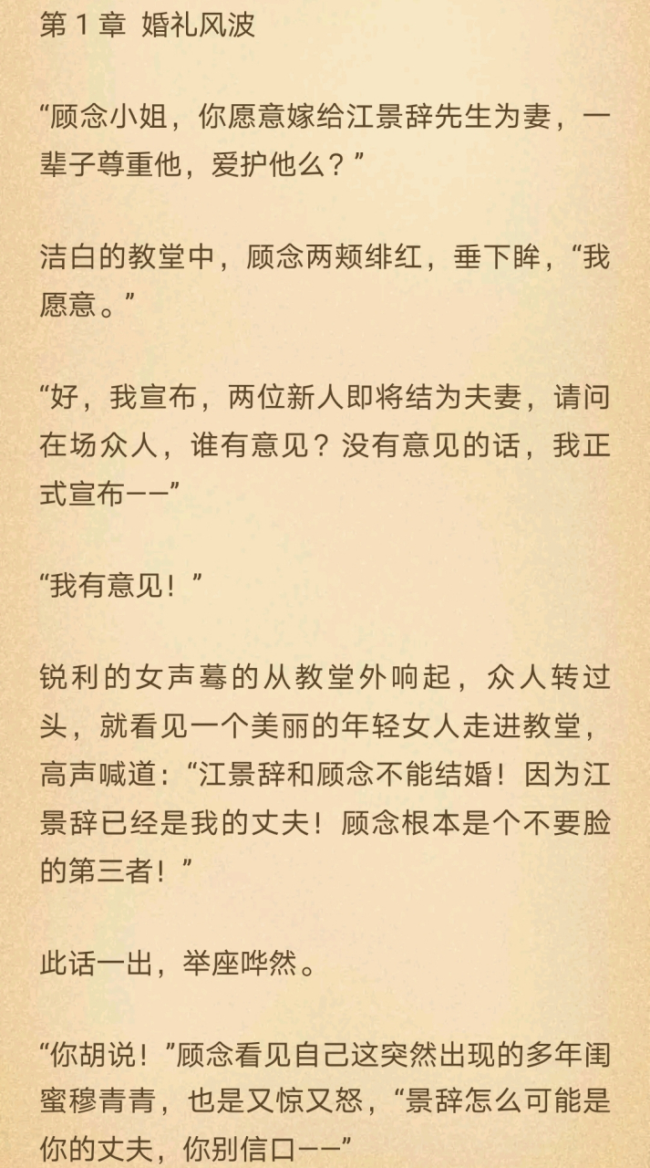 《一念成殇小说》又名《顾念江景辞》全文在线阅读