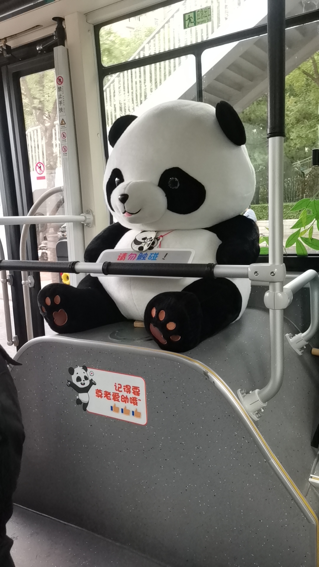 这些毛绒玩具,有的是憨态可掬的熊猫母子,有的则是萌萌哒哒的