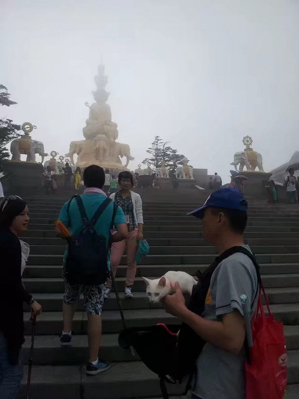 新韵 小令《梅月圆》 西楼明月月西楼,人在渡边愁.