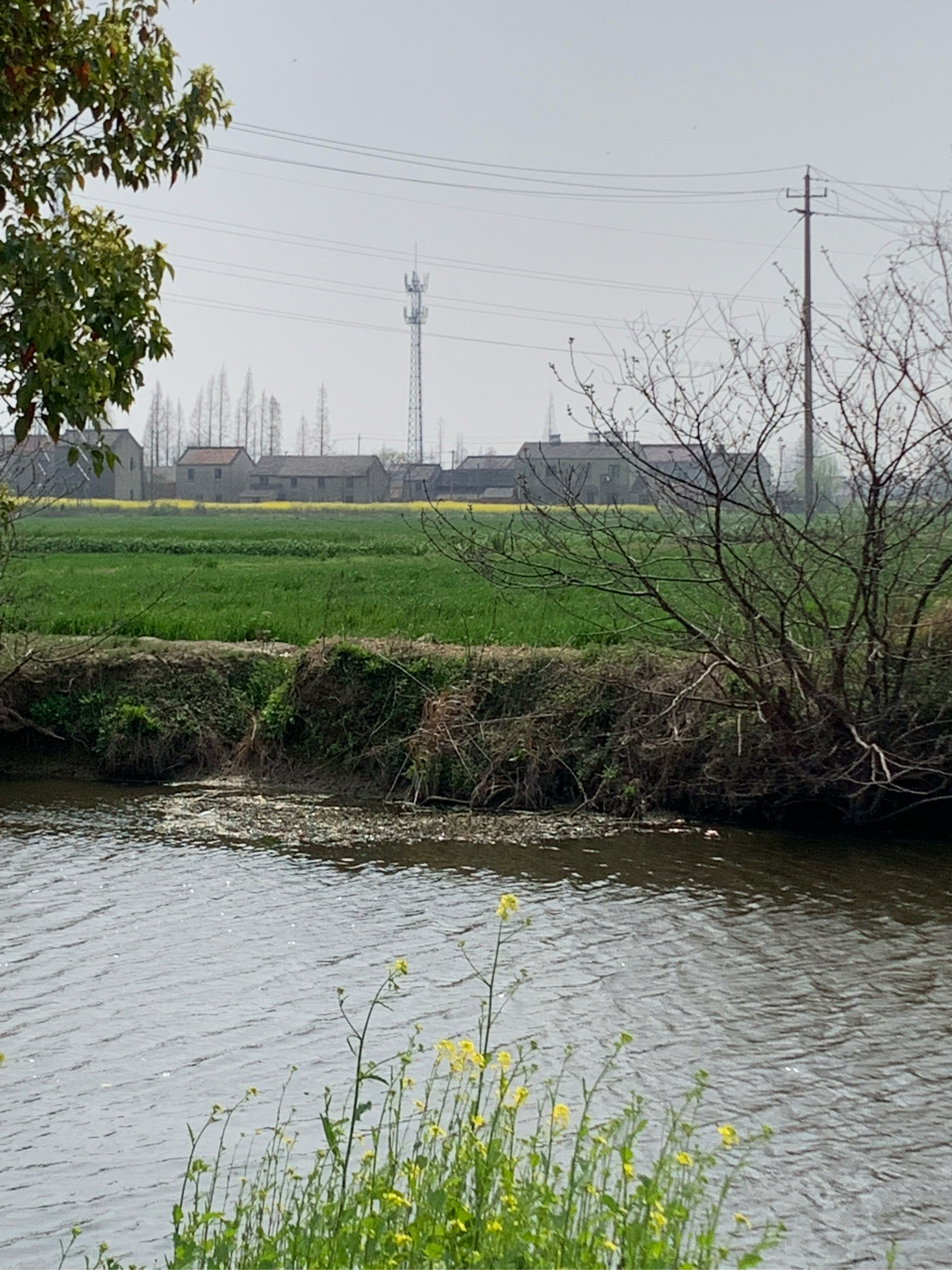 遇见好风景#江苏丹阳乡村,也是我老伴儿时生活过的地方,我们是去年在