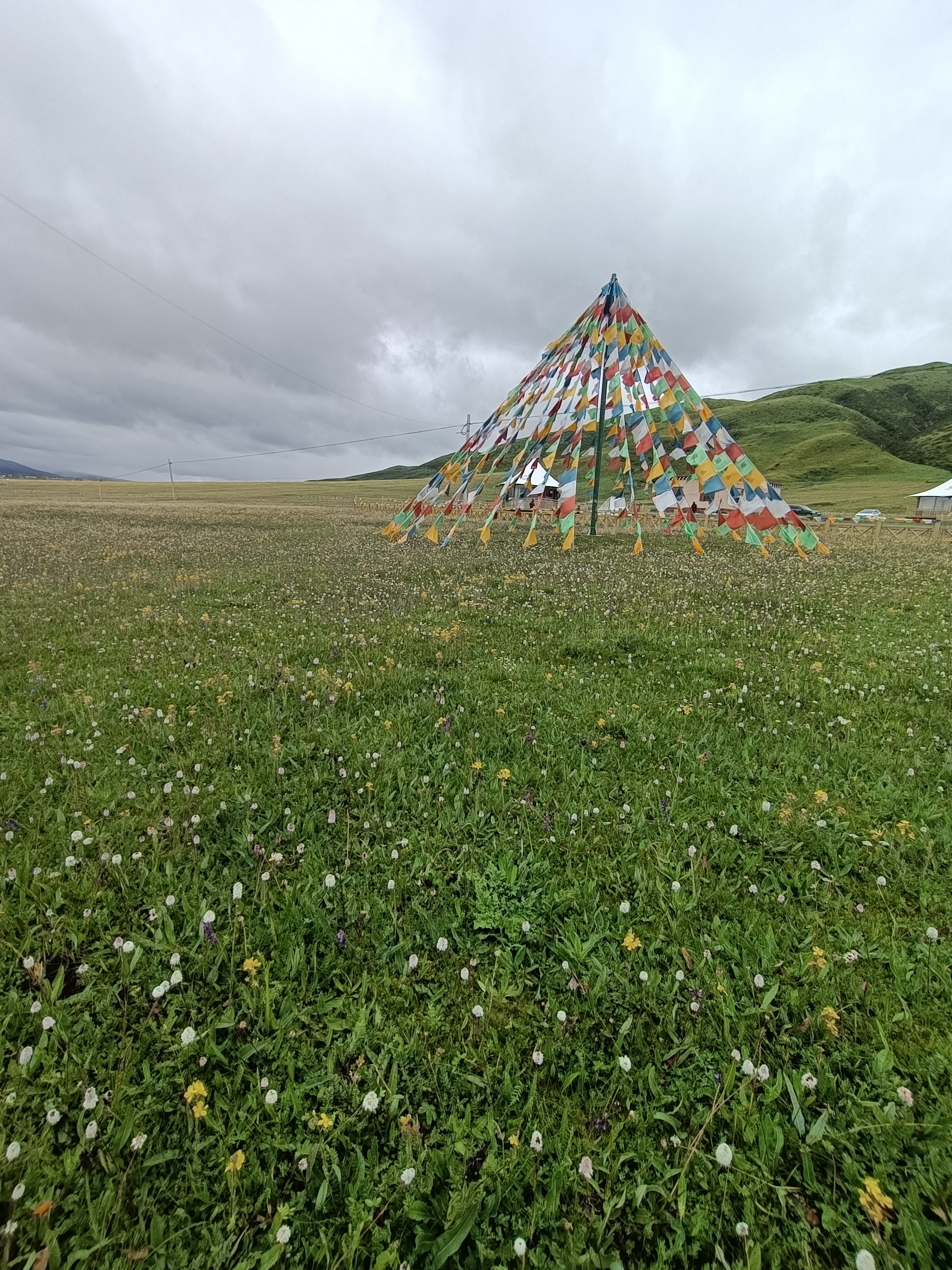 青藏川自驾行第20天 巴塘～毛垭大草原～无量湿地～理塘(5℃一14℃)