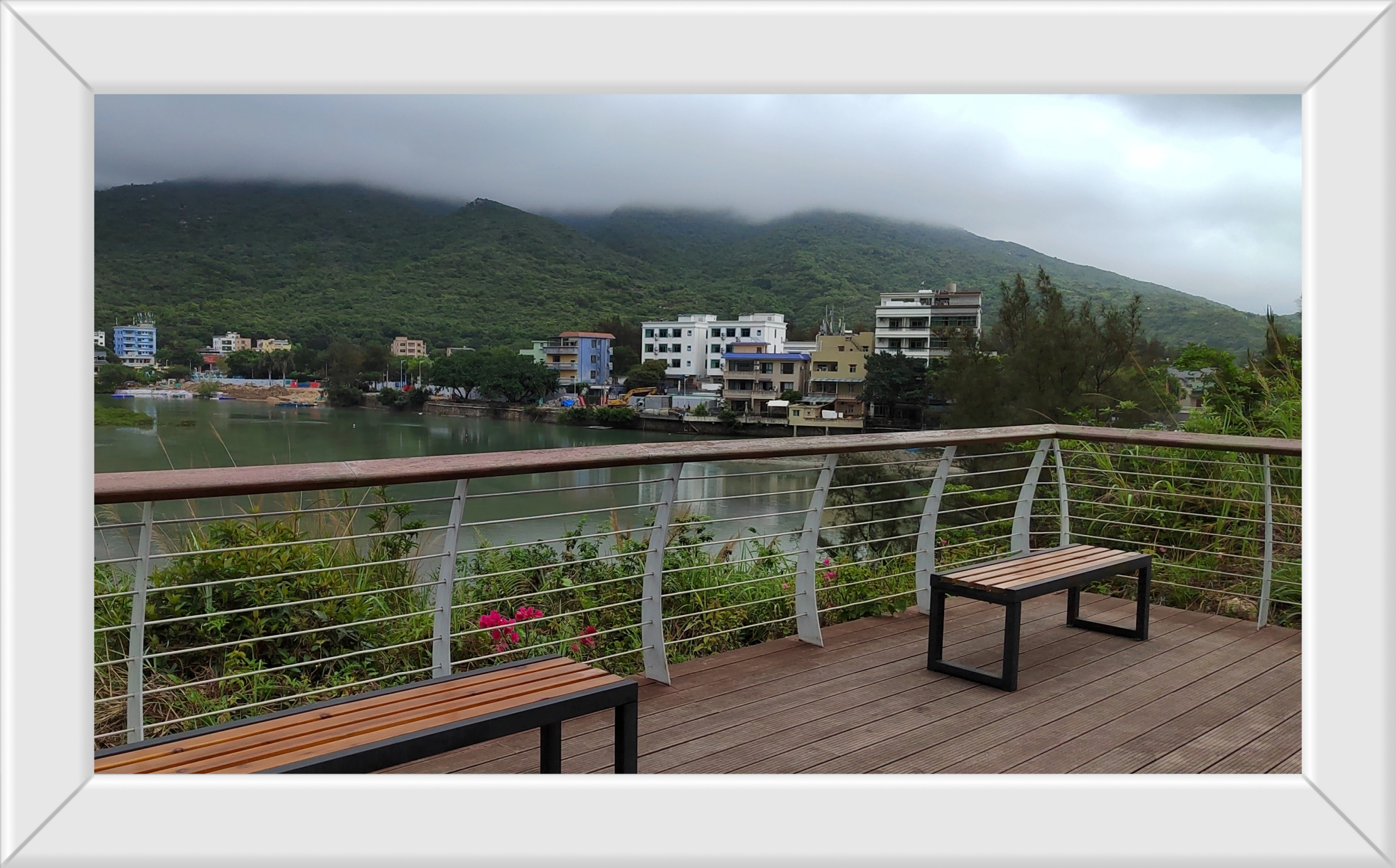 东涌湿地公园之美