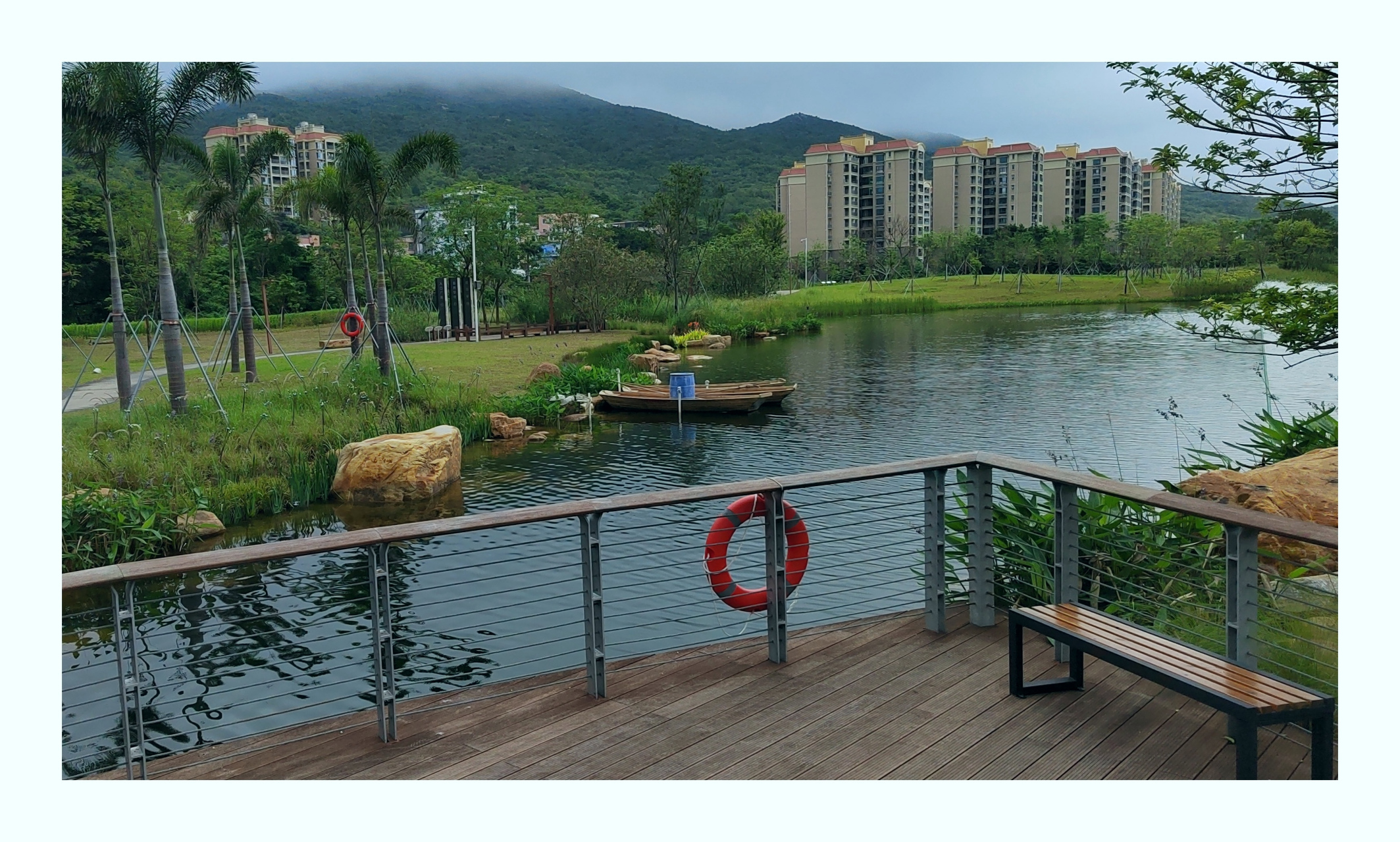 东涌湿地公园之美