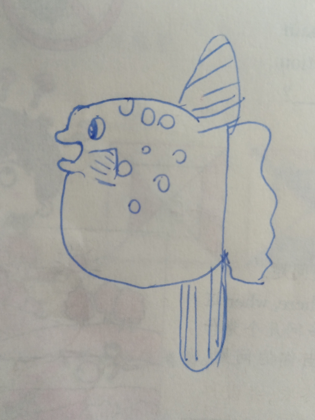 翻车鱼画法🐠,简单又好看.快学起来吧!