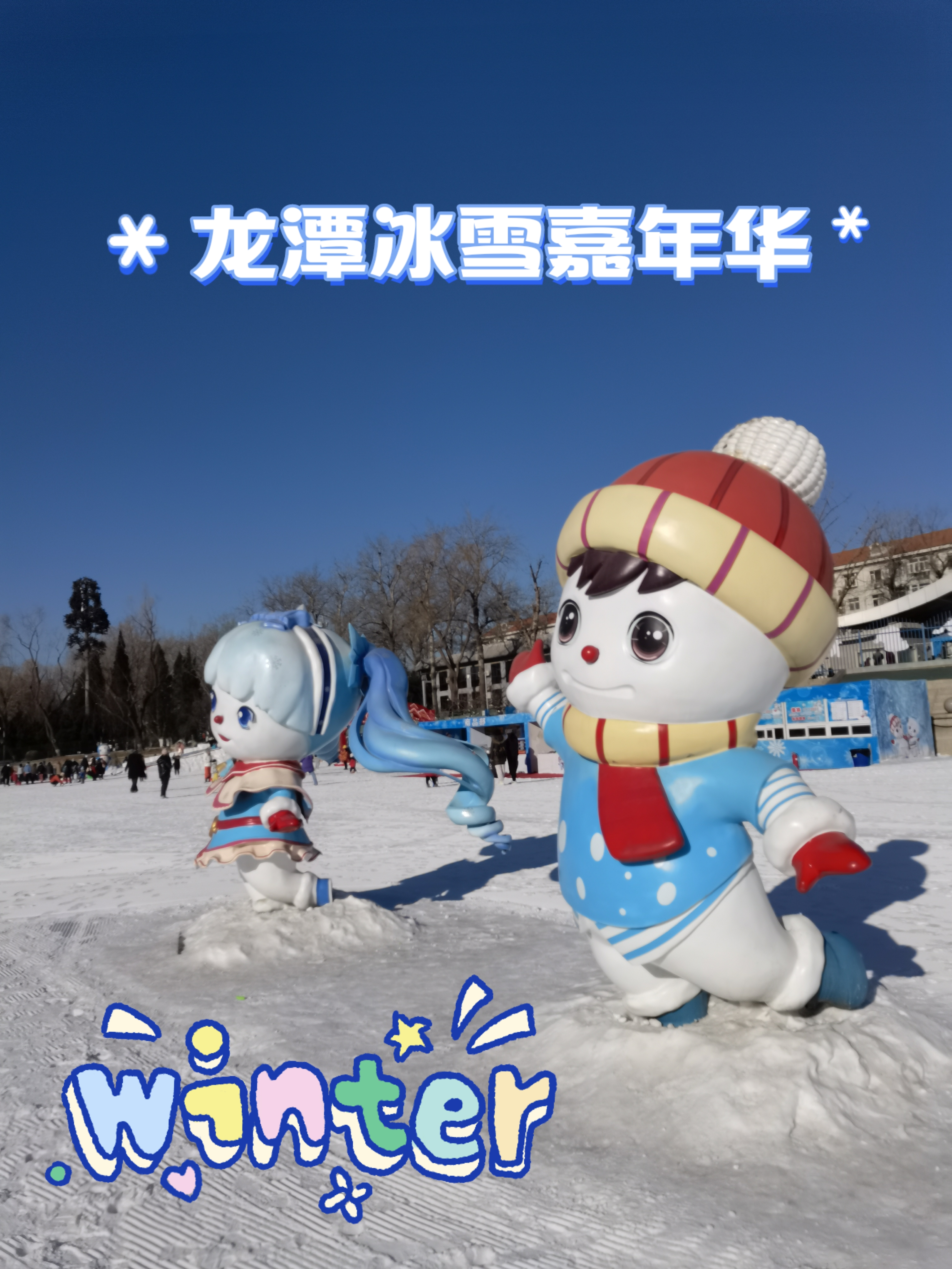 右玉冰雪嘉年华门票图片