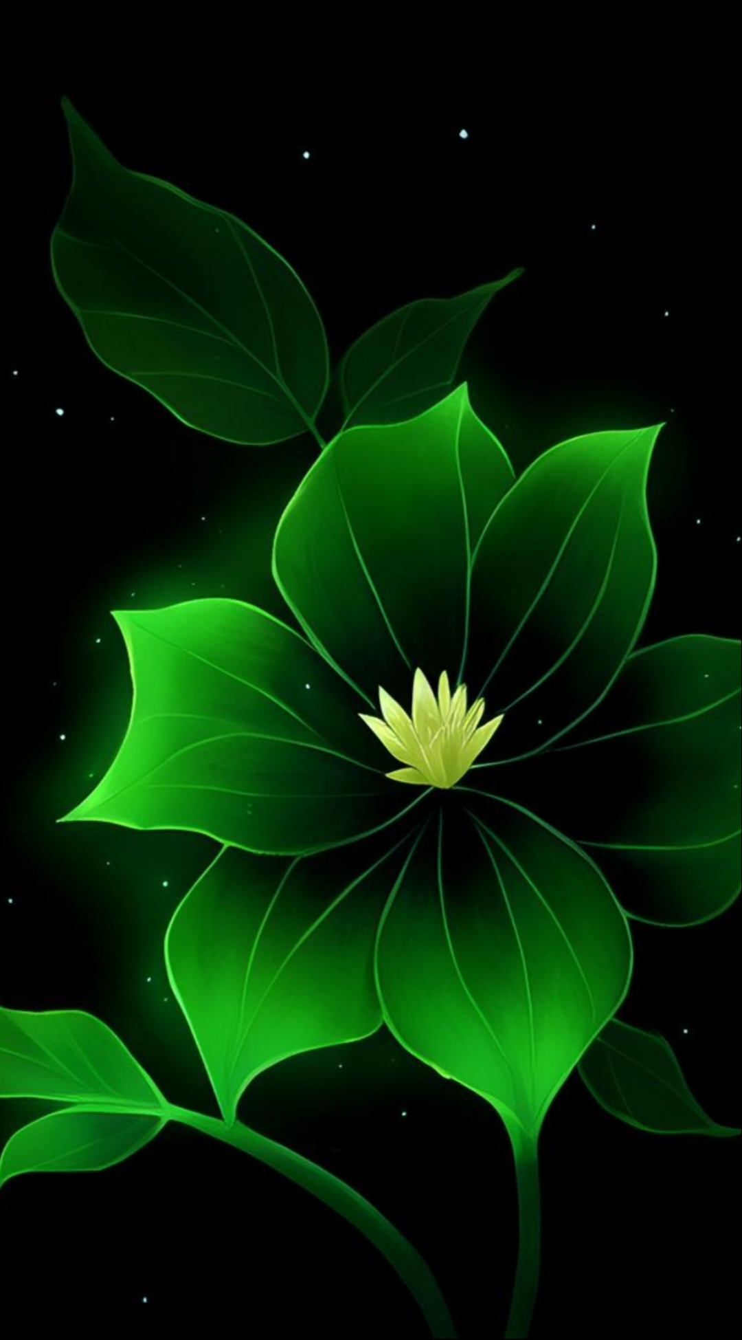 在这片生机盎然的绿意中,我发现了一朵独特的绿色花朵