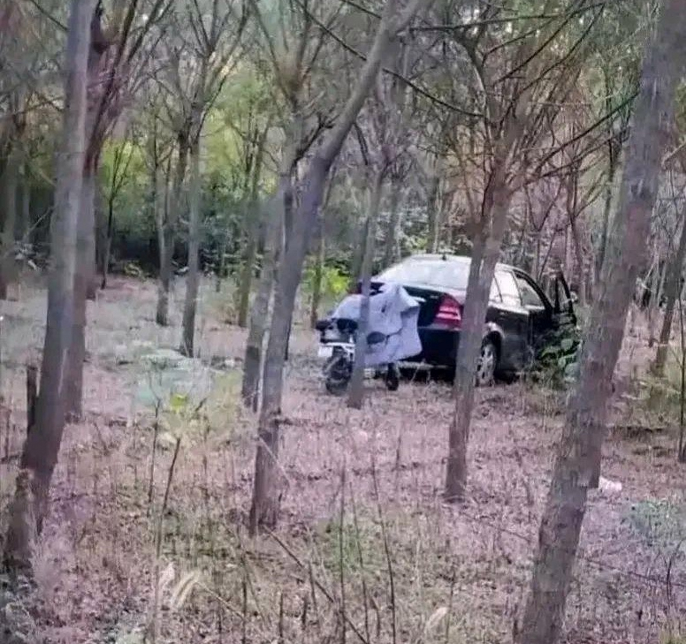 今天和同事去郊游,忽然在树林里看到自家的电动车,赶快开车走了.