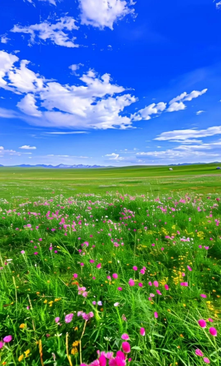 天空云朵如棉花,田园风光美如画.