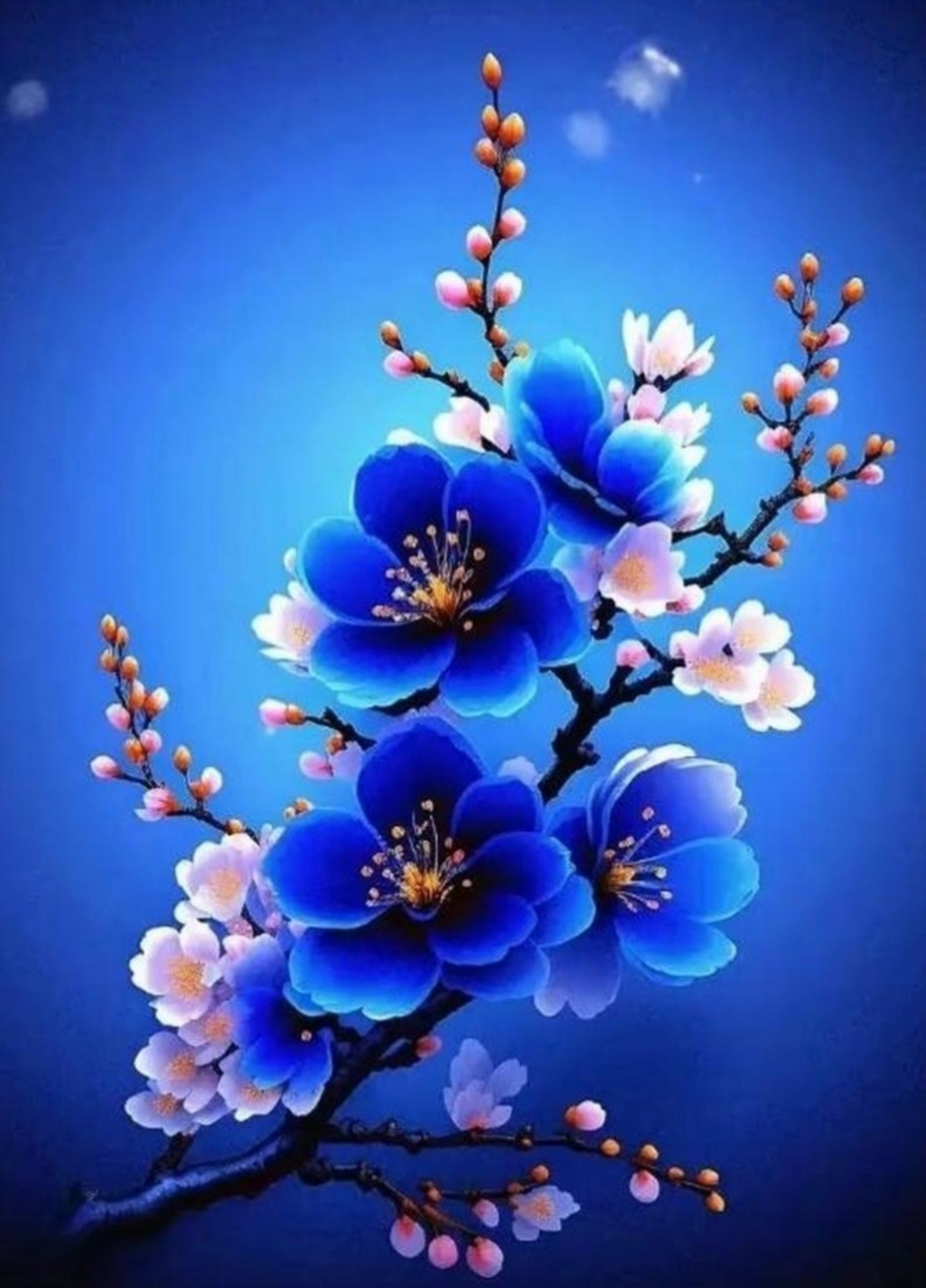 蓝色梅花61深深情 蓝色晴空夜幽静,静美绽放心甜静.