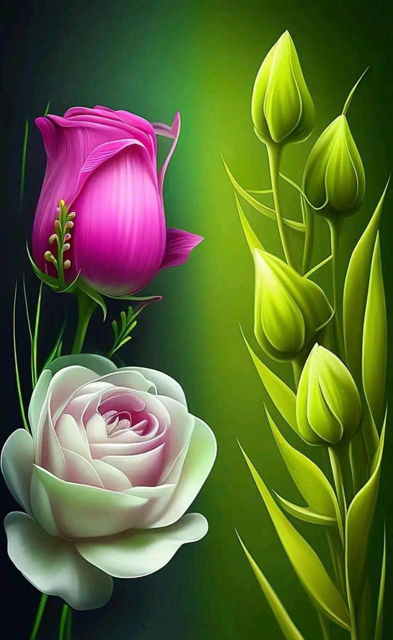 心怀善念好事做,时常要把爱心播.