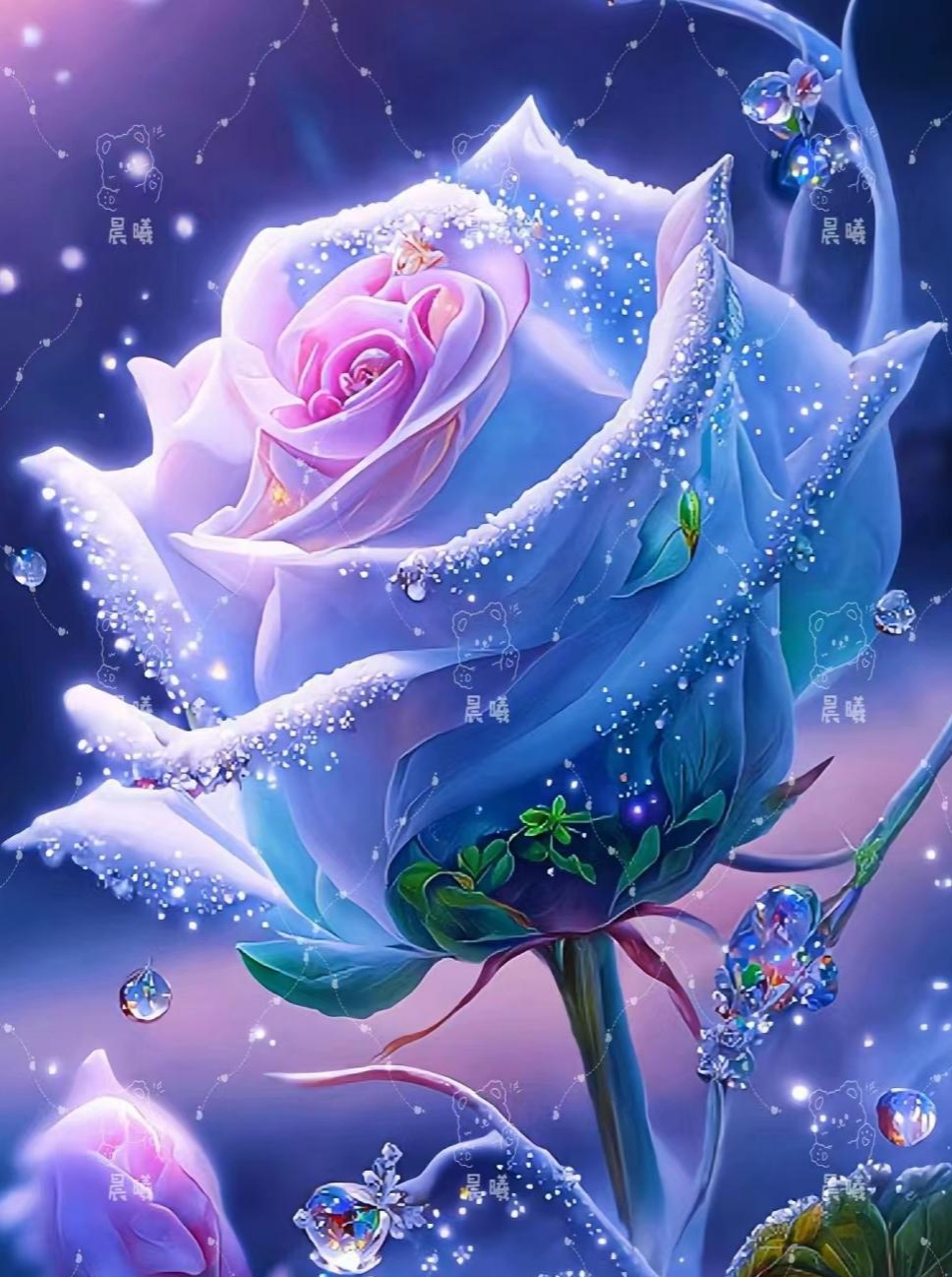 夜空梦幻玫瑰花,心旷神怡入意境