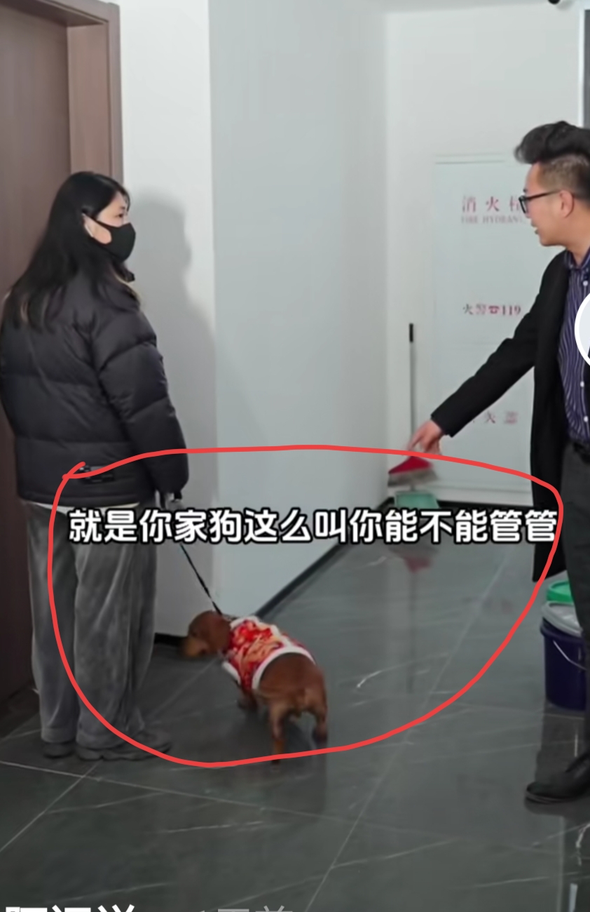 为什么不让养狗