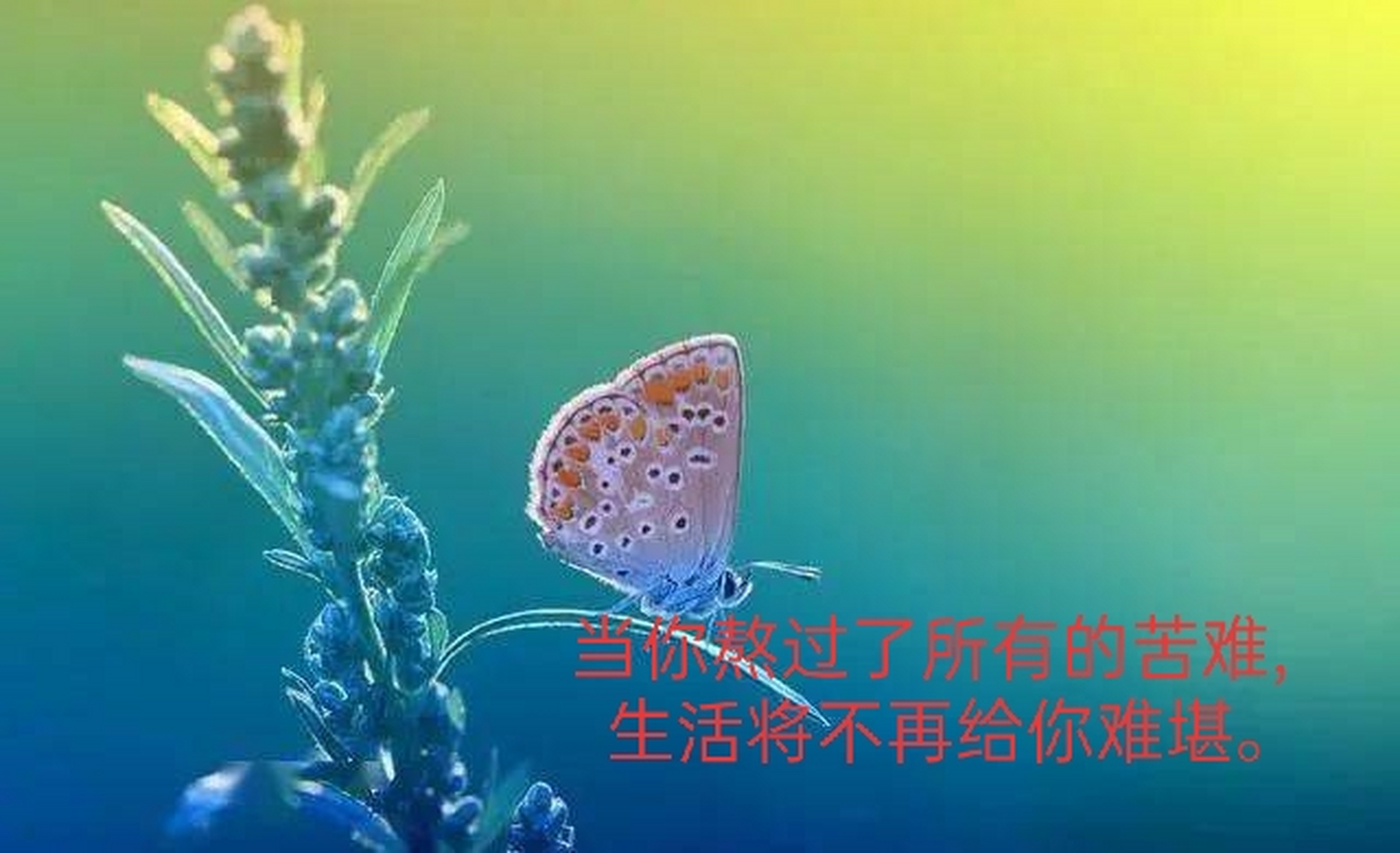 当你熬过了所有的苦难,生活将不再给你难堪.