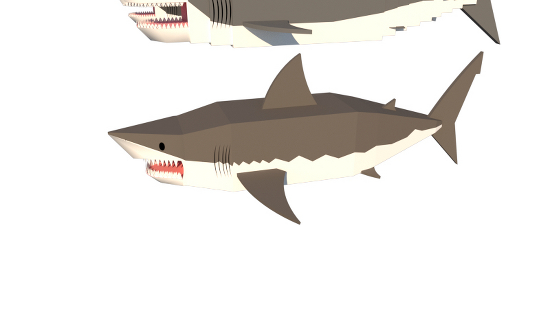 金厨鲨(白垩刺甲鲨,白垩尖吻鲨)