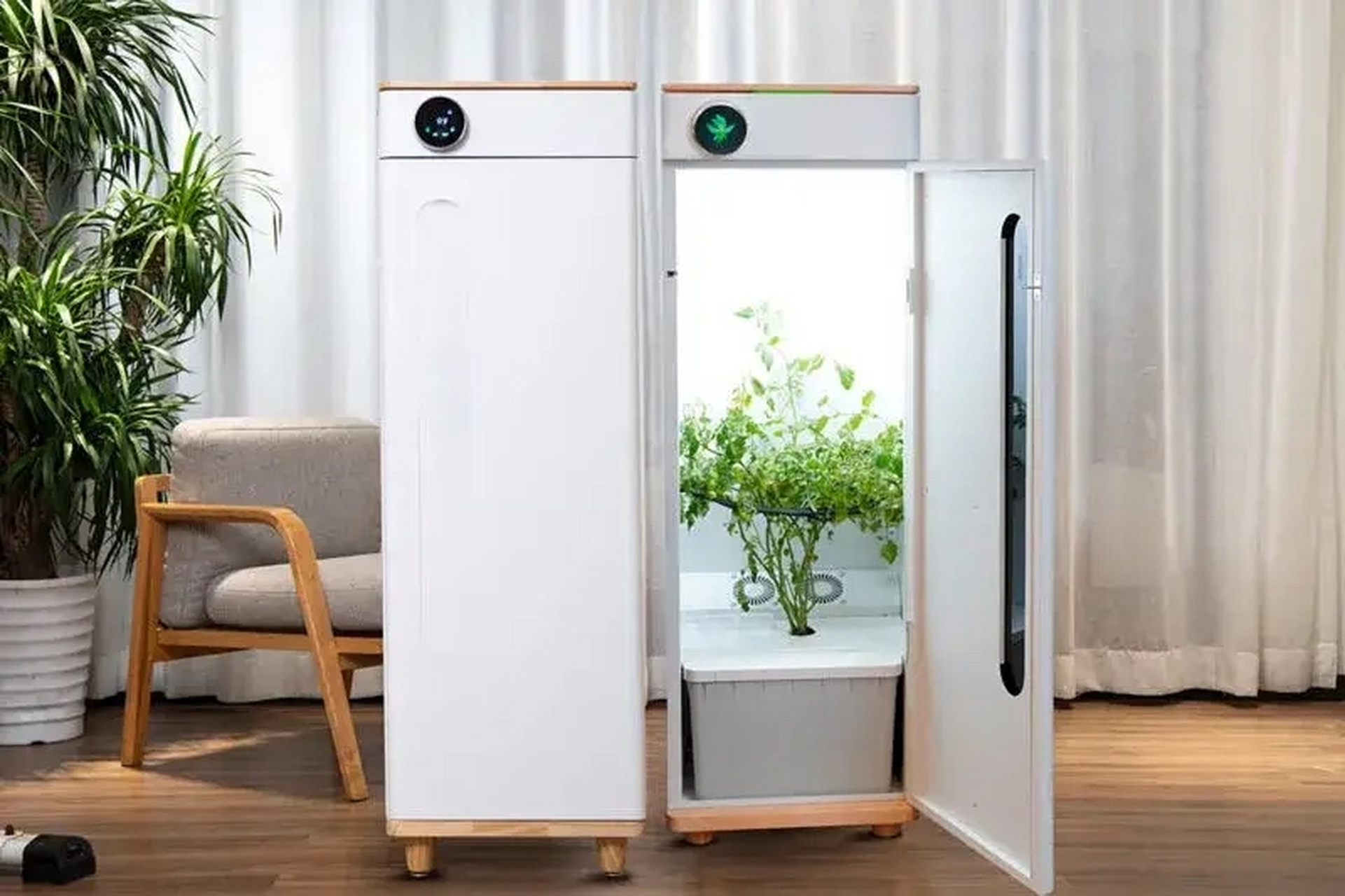 "abby"是 hey abby 网站上的一款智能种植箱,这与市场上的传统种植箱