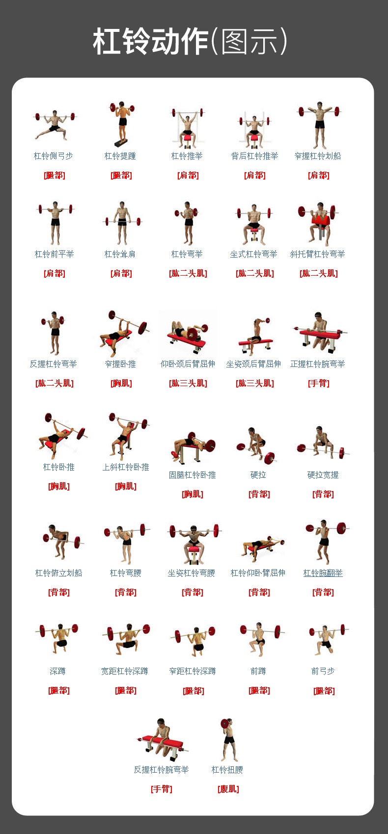 bw必威西汉姆联官网-哑铃新手基础教学？ 哑铃健身怎么练背？