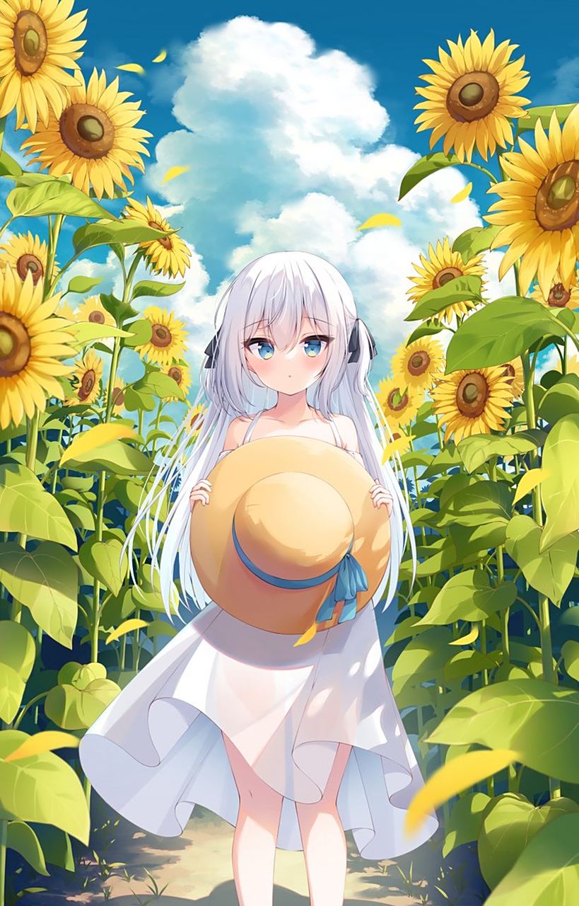 向日葵中的少女#二次元美图#  画师:isrk0516