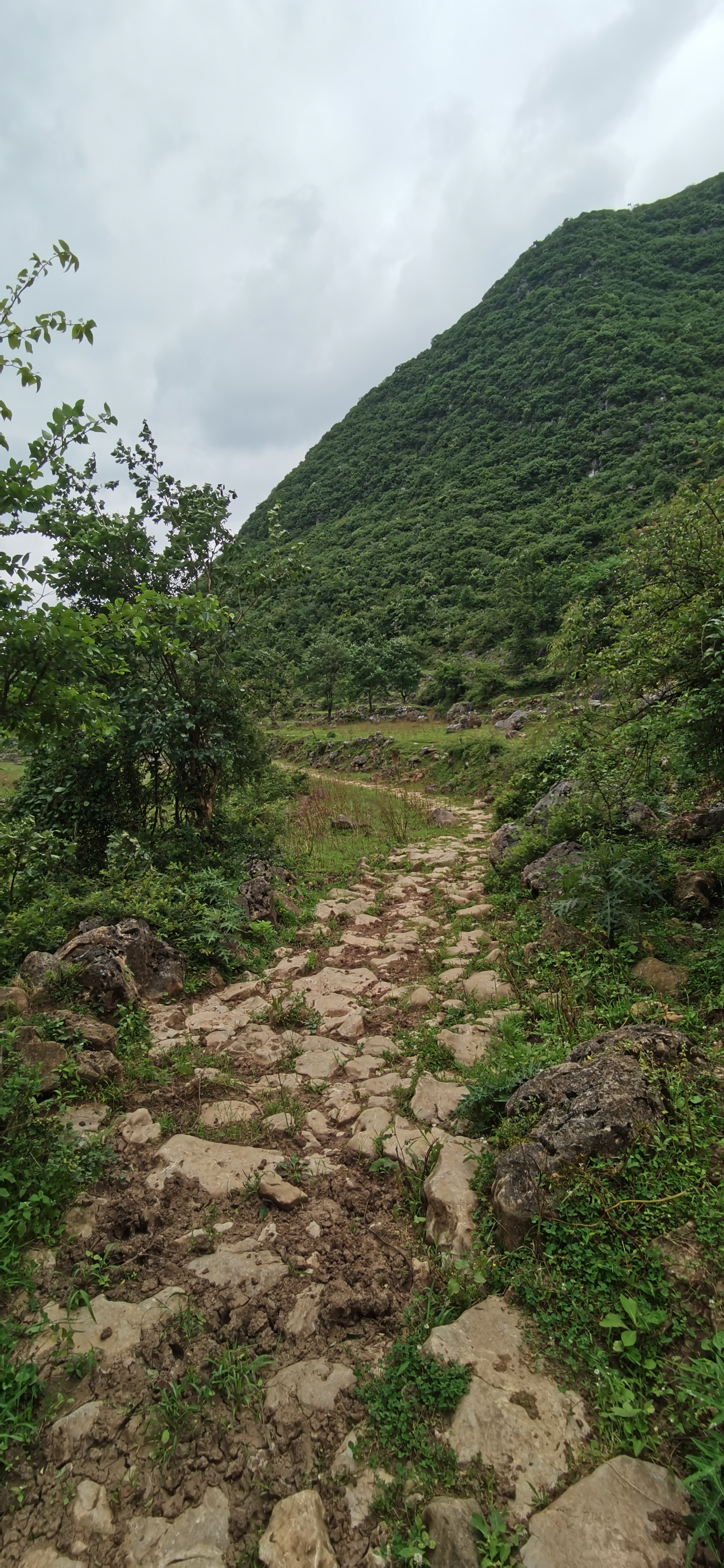 段 古驿道┈大狗场段  大狗场段古驿道位于贵安新区高峰镇狗场村背坡