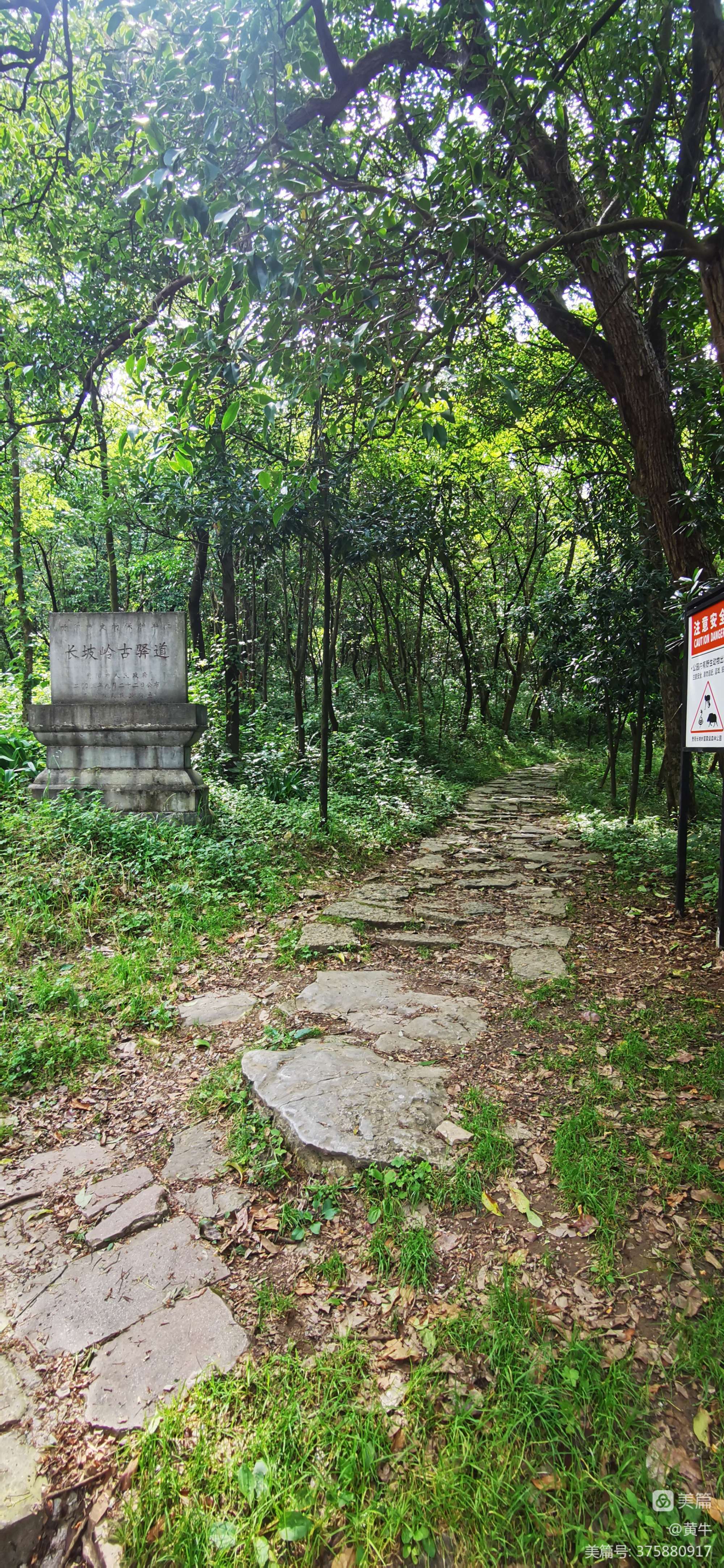 长坡岭古驿道图片