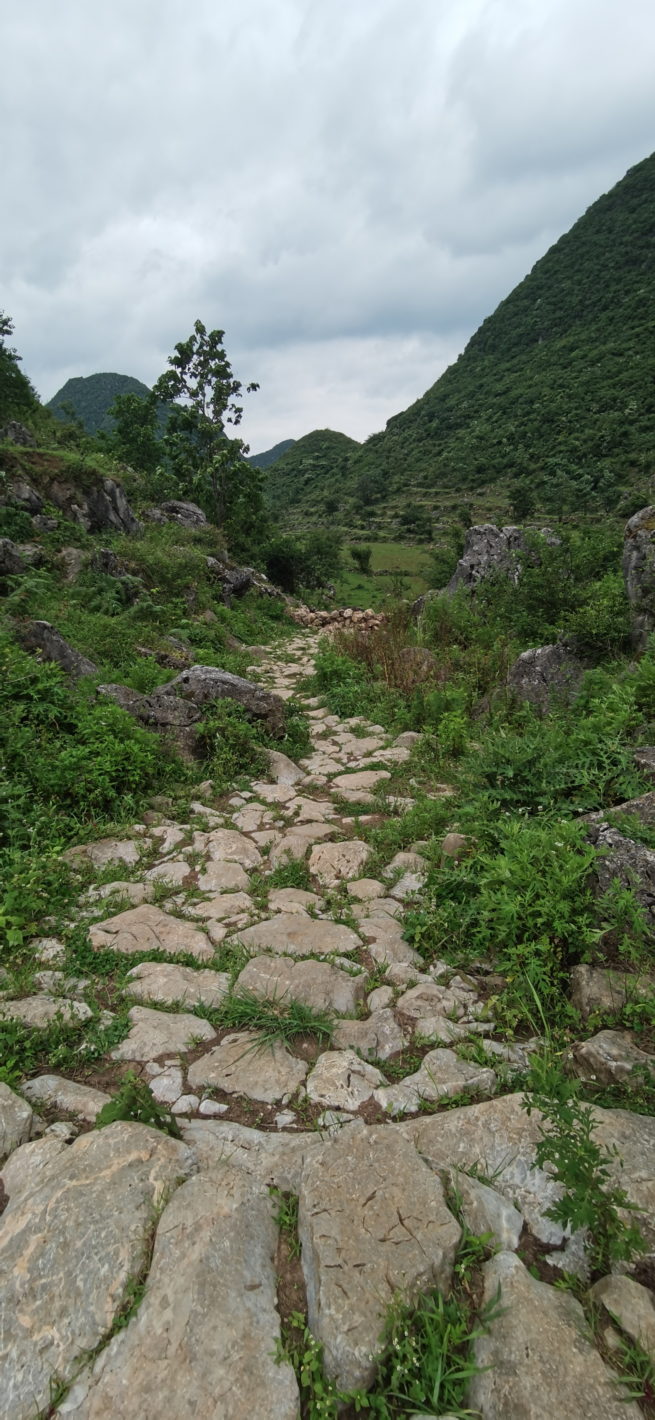 段 古驿道┈大狗场段  大狗场段古驿道位于贵安新区高峰镇狗场村背坡