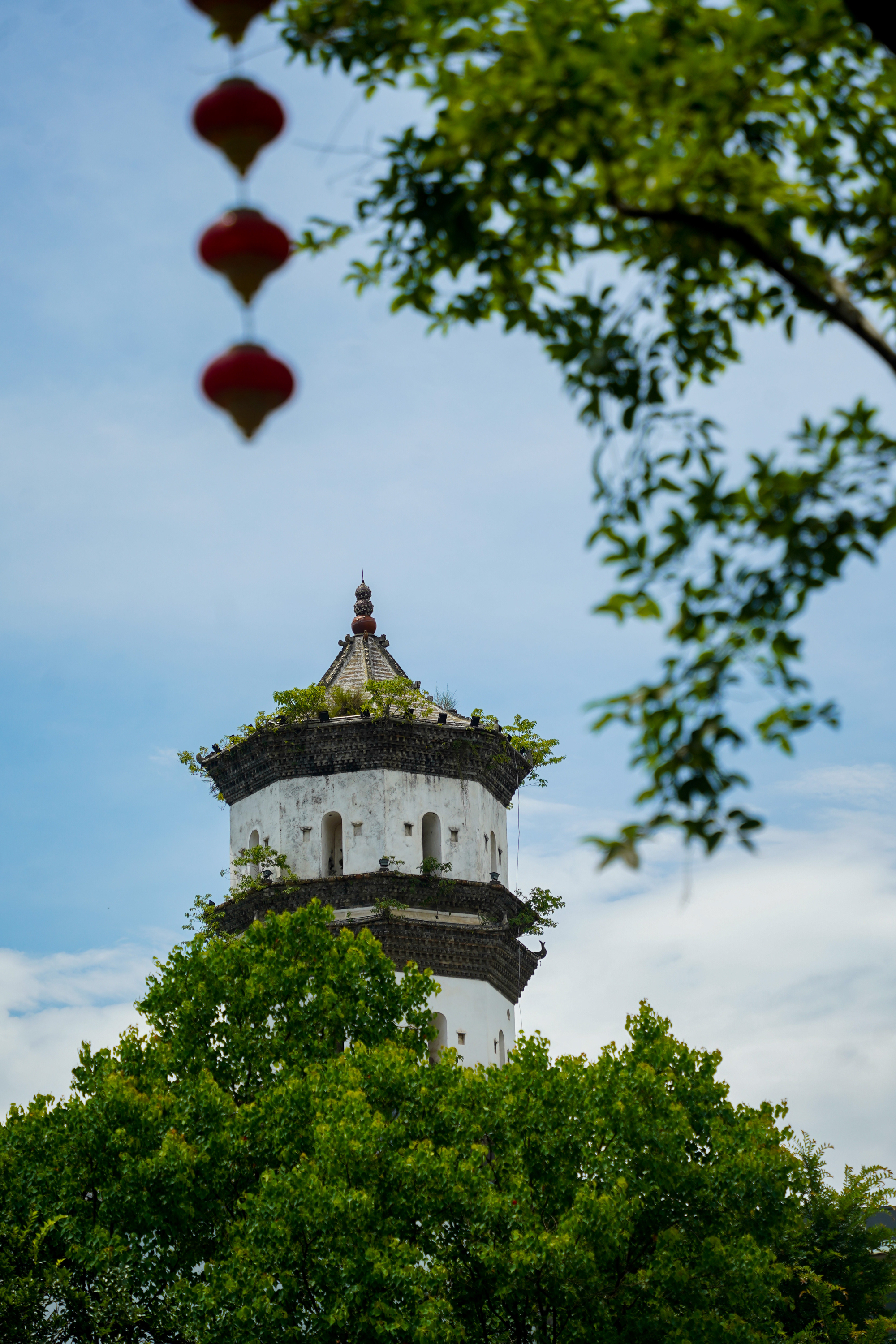 宜春网红打卡景点图片