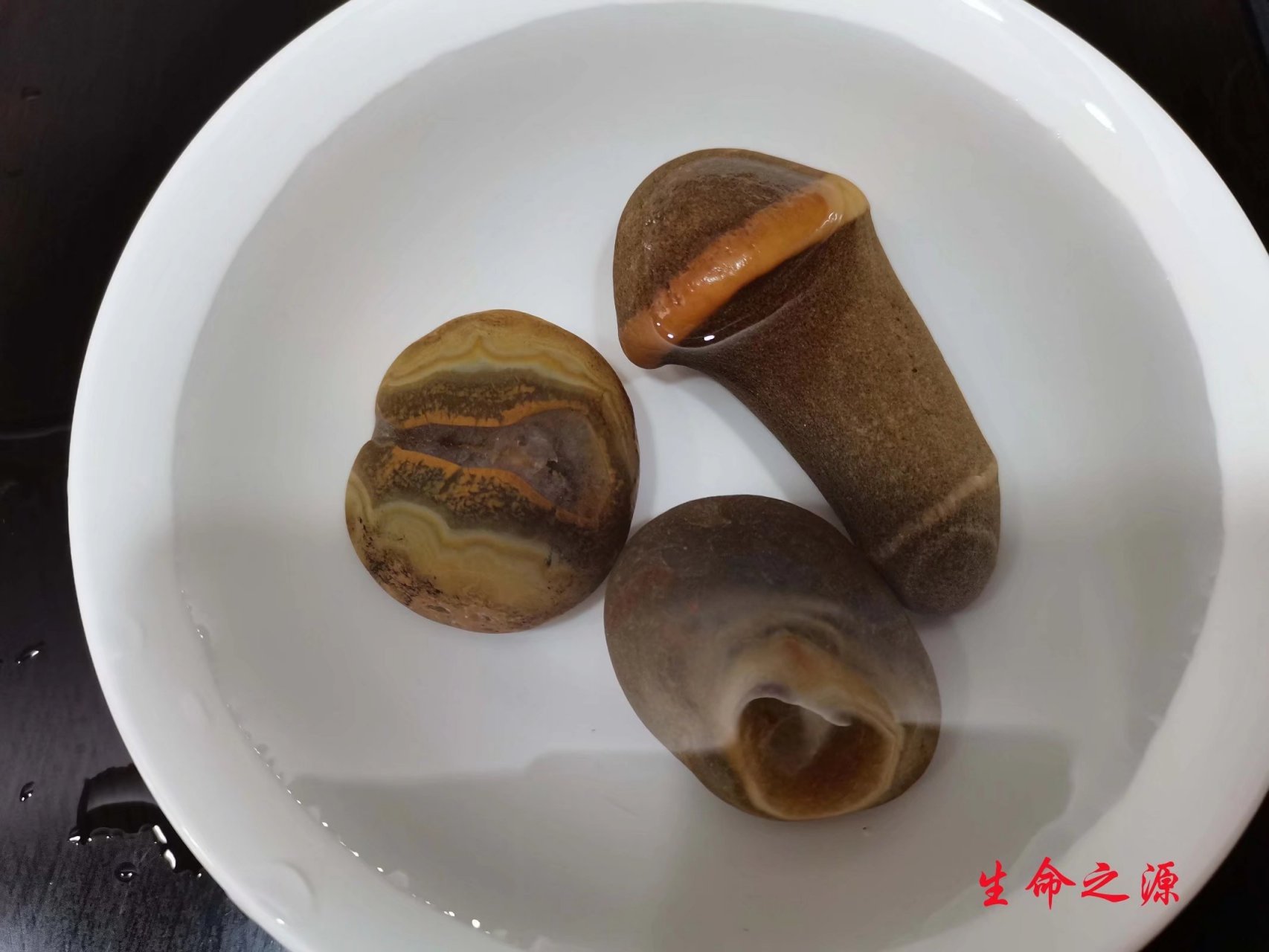 在长江分支湖北枝江玛瑙河捡的石头,石名:生命之源