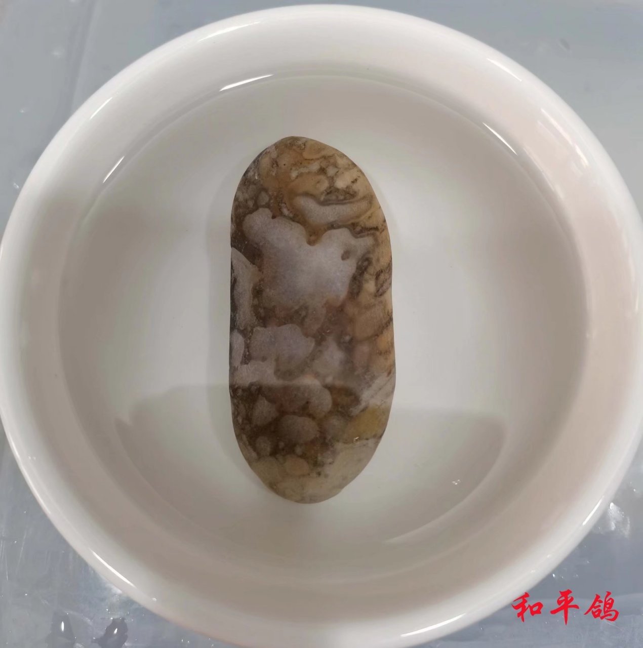 我在枝江玛瑙河捡的美石,欢迎朋友们来枝江捡石,喜欢就关注我,谢谢!