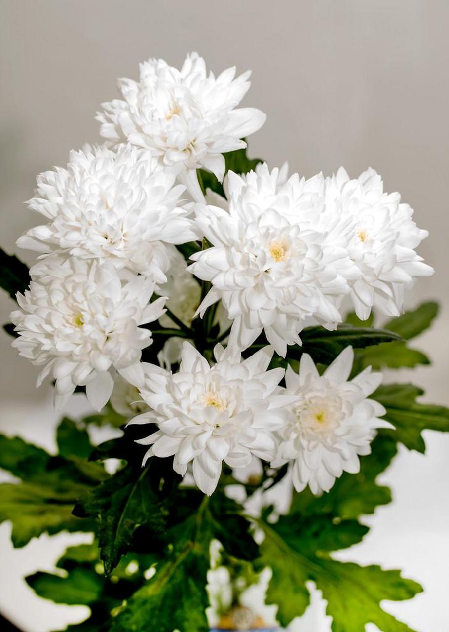 清明节到了,为逝去的亲人点一盏心灯,祈望逝去的亲