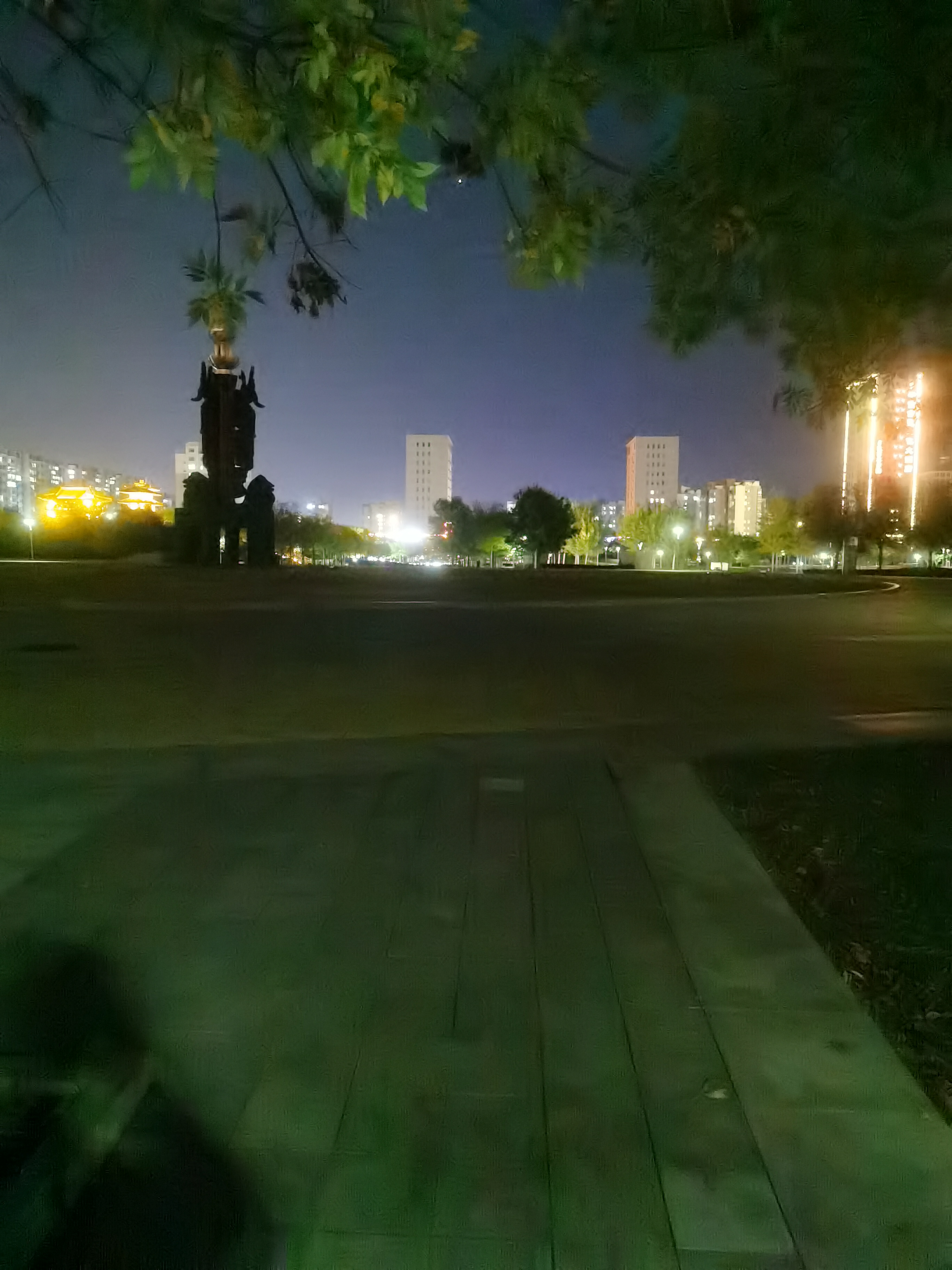 和白天的喧嚣不同,夜晚的公园更显宁静和神秘.