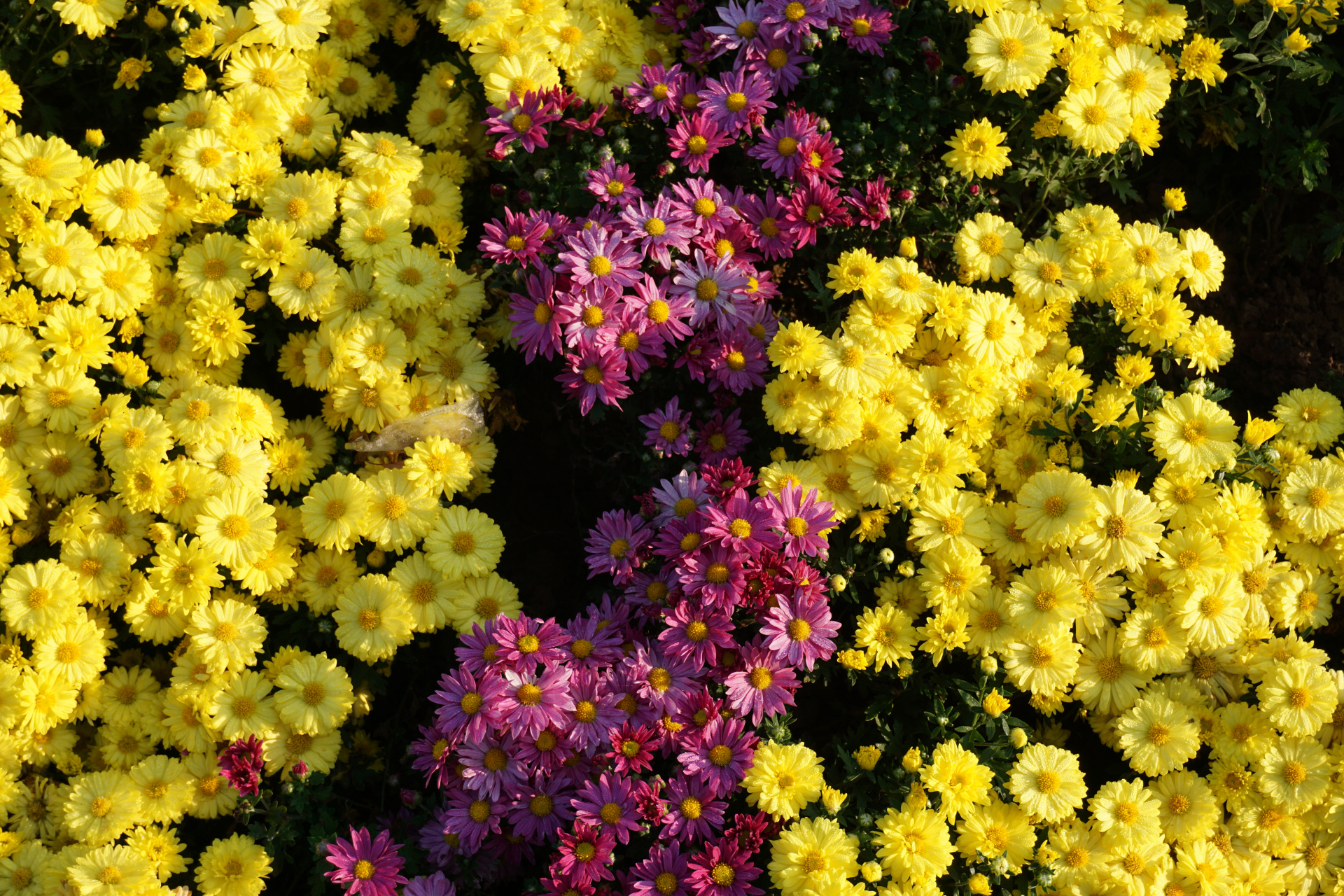 祝您在另一个世界为我们低调务实地工作的同时,一定要爱惜自己,保重