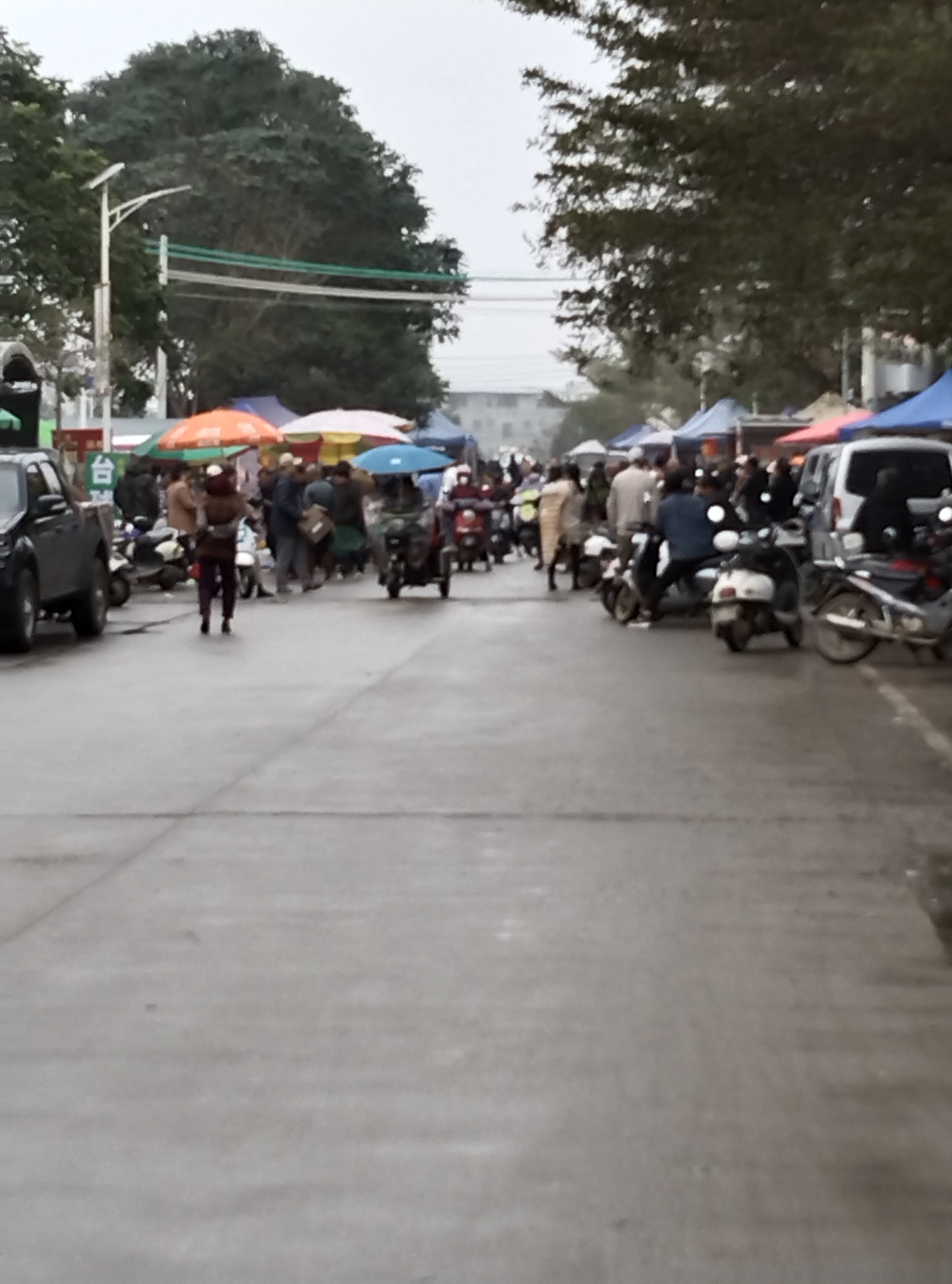 广西北海铁山港区营盘镇黄稍滨江市场,黄稍村委不知道怎么管理的每天