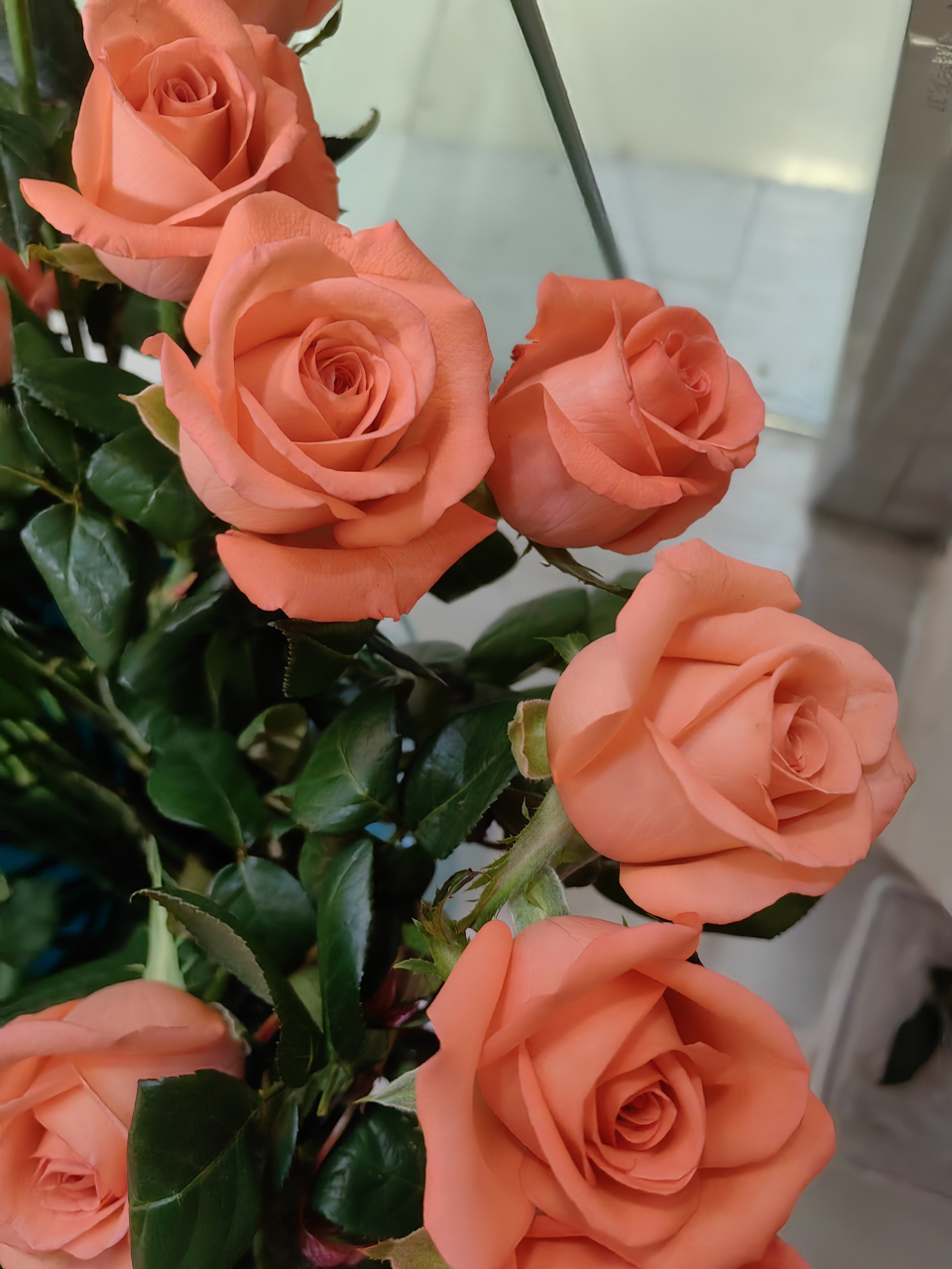 960_1280竖版 竖屏