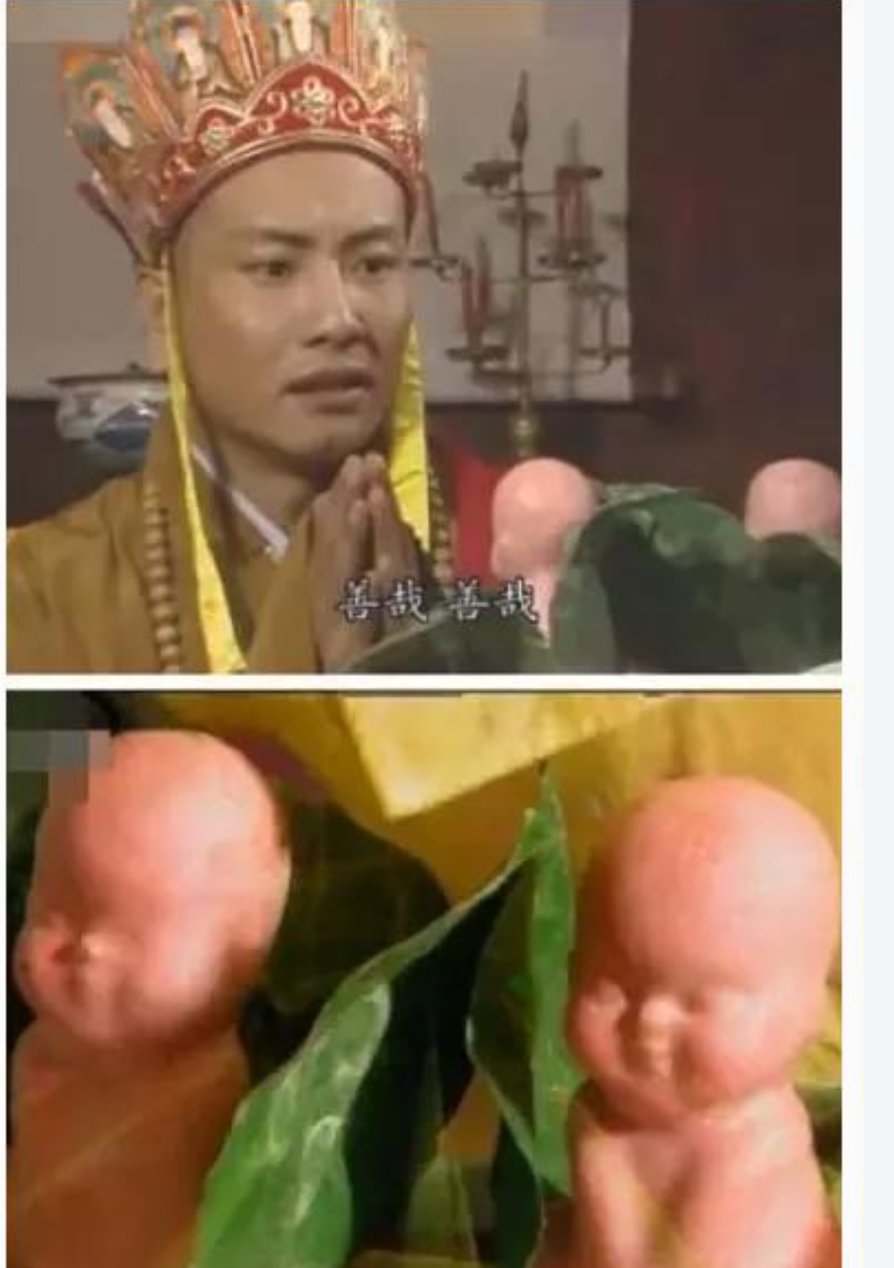 唐僧86版西游记唐僧说拿走人参果的表情图西游记悟空变匙罱邢局 