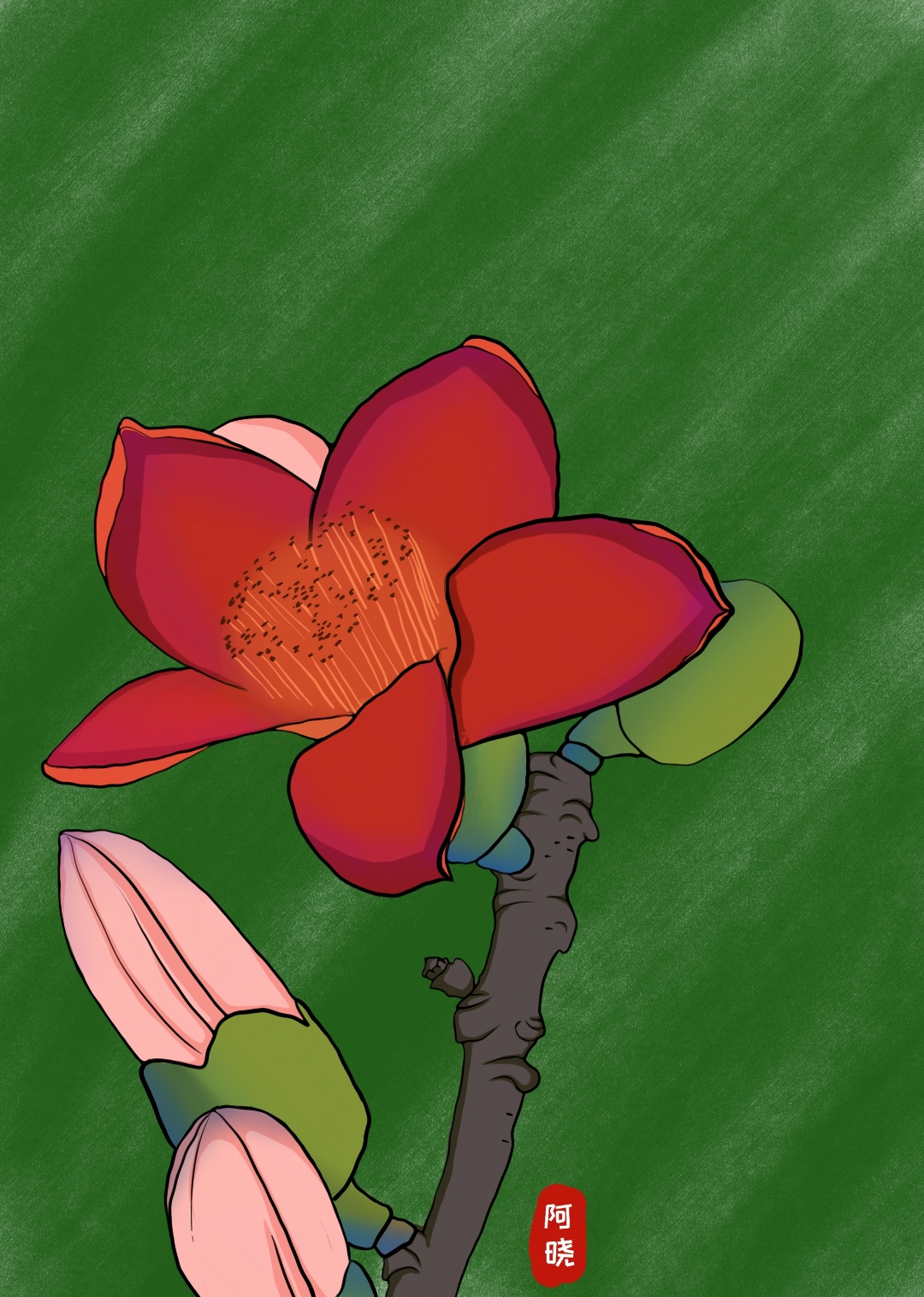 手绘#  木棉花又名英雄花