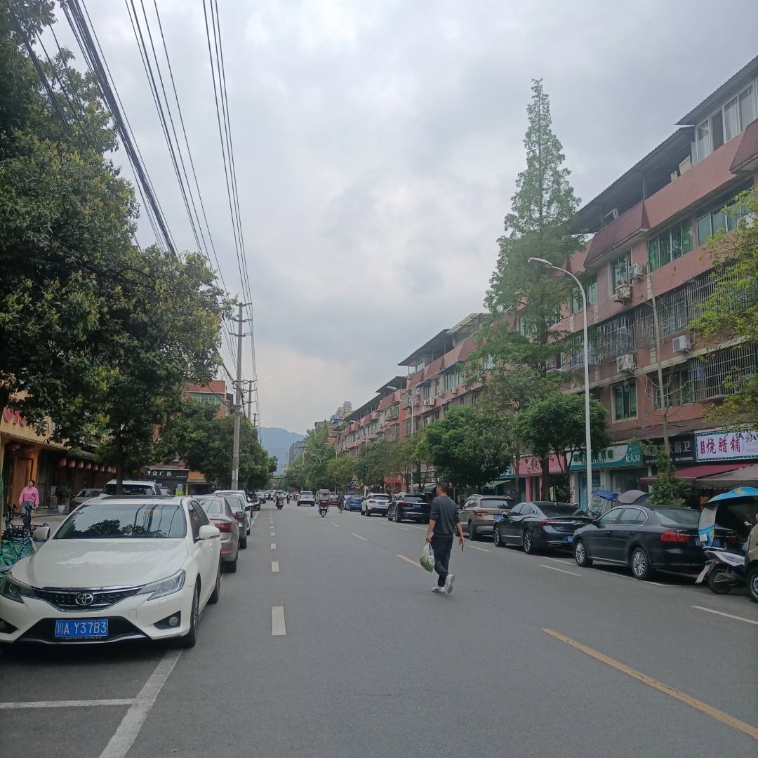 城市生活,静谧而生动 走在这条街道上,仿佛能触摸到城市的脉搏.