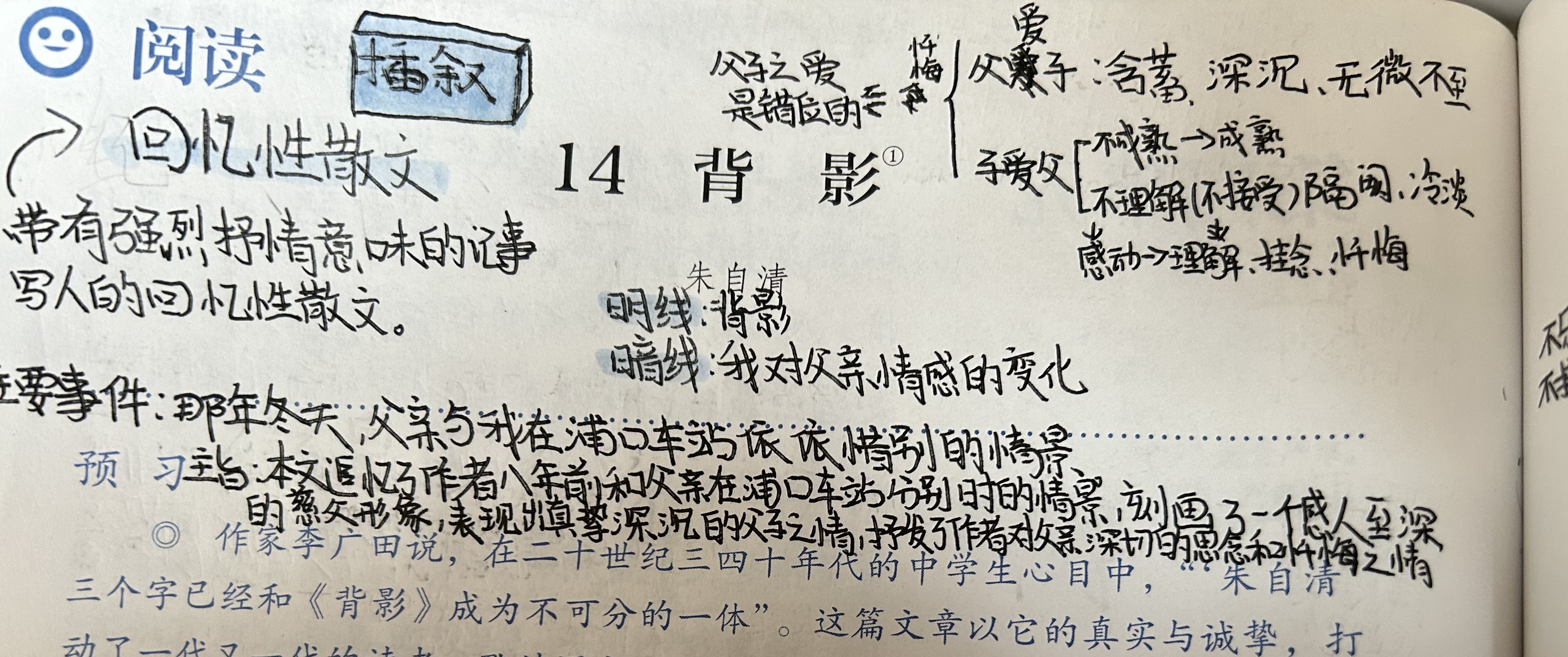 背头杨批注图片