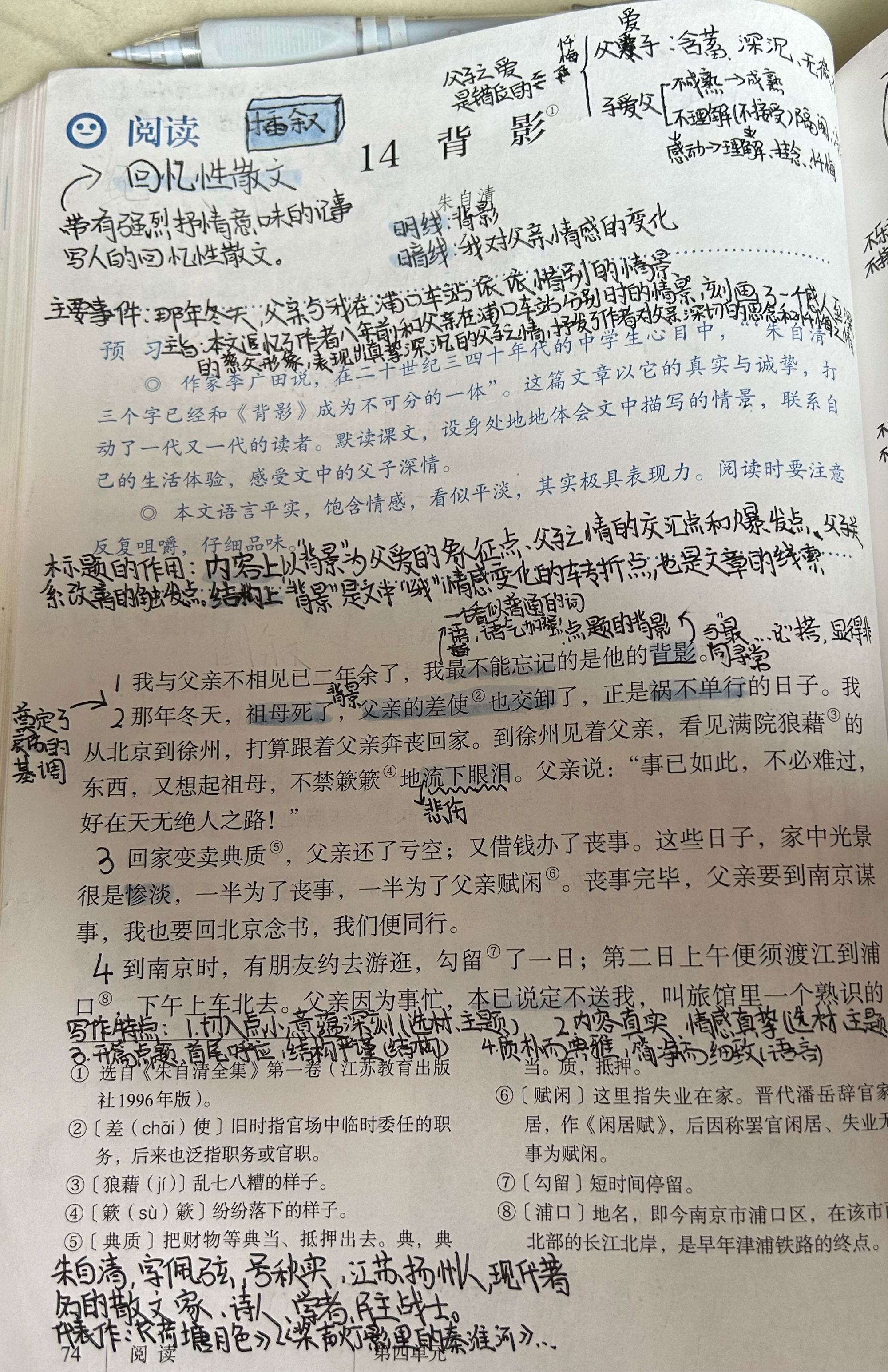 背头杨批注图片