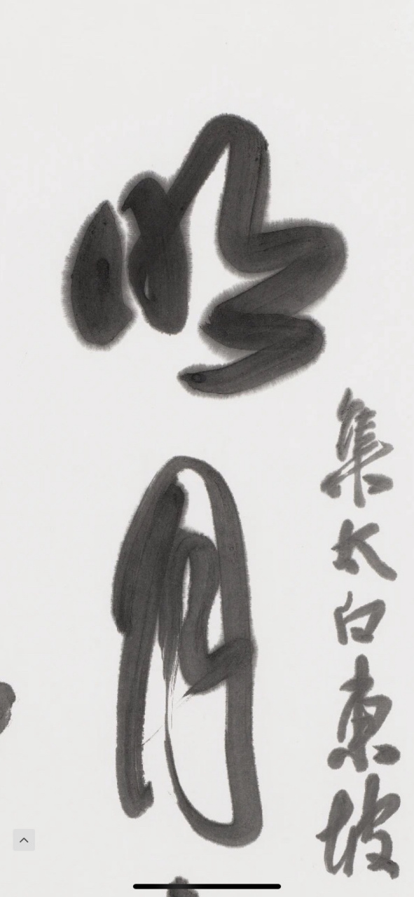 张传维博士近作"明月直入,清风徐来"