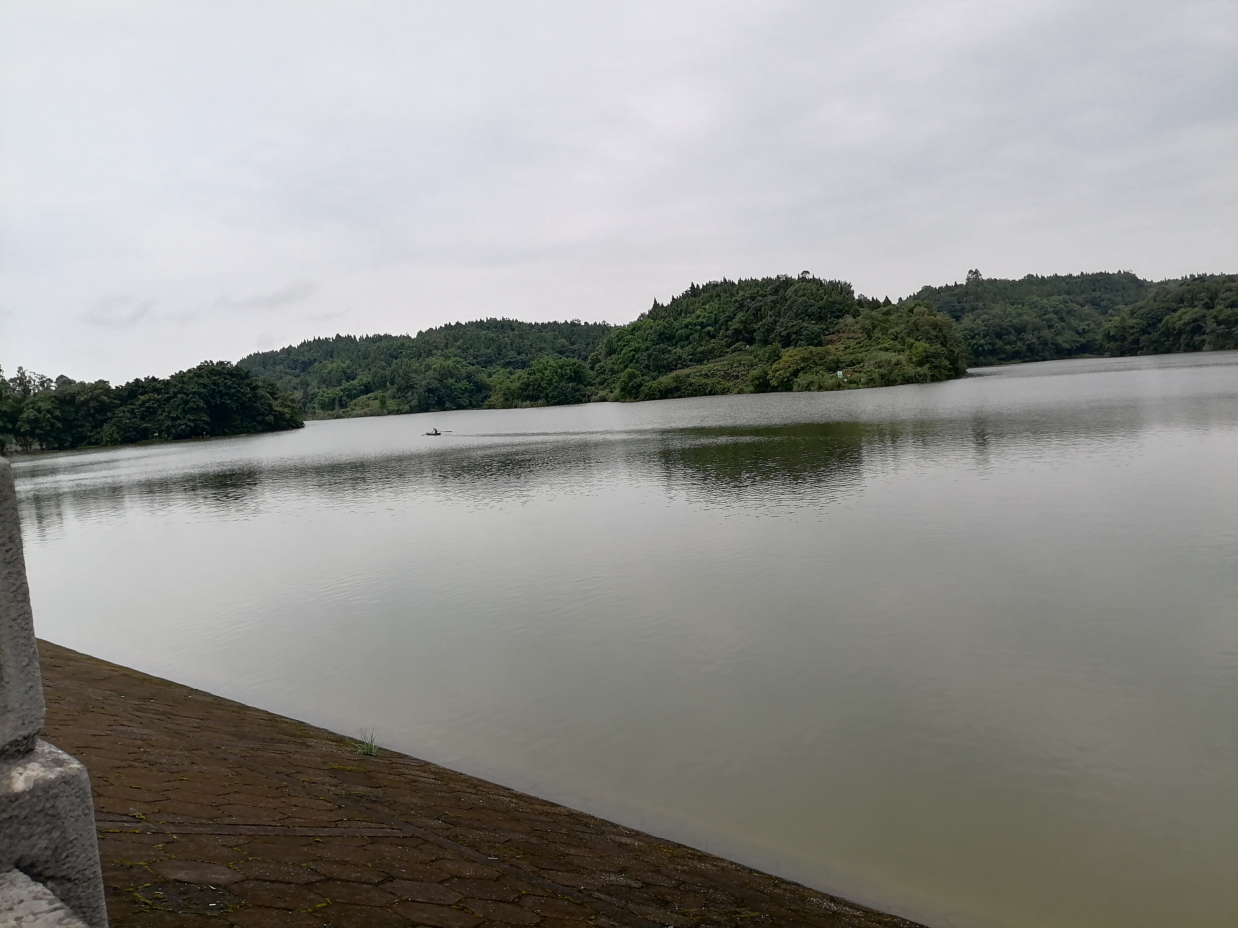 岳池响水水库!这只蝴蝶03一直在我身边[祝福][福到][福到][福到]