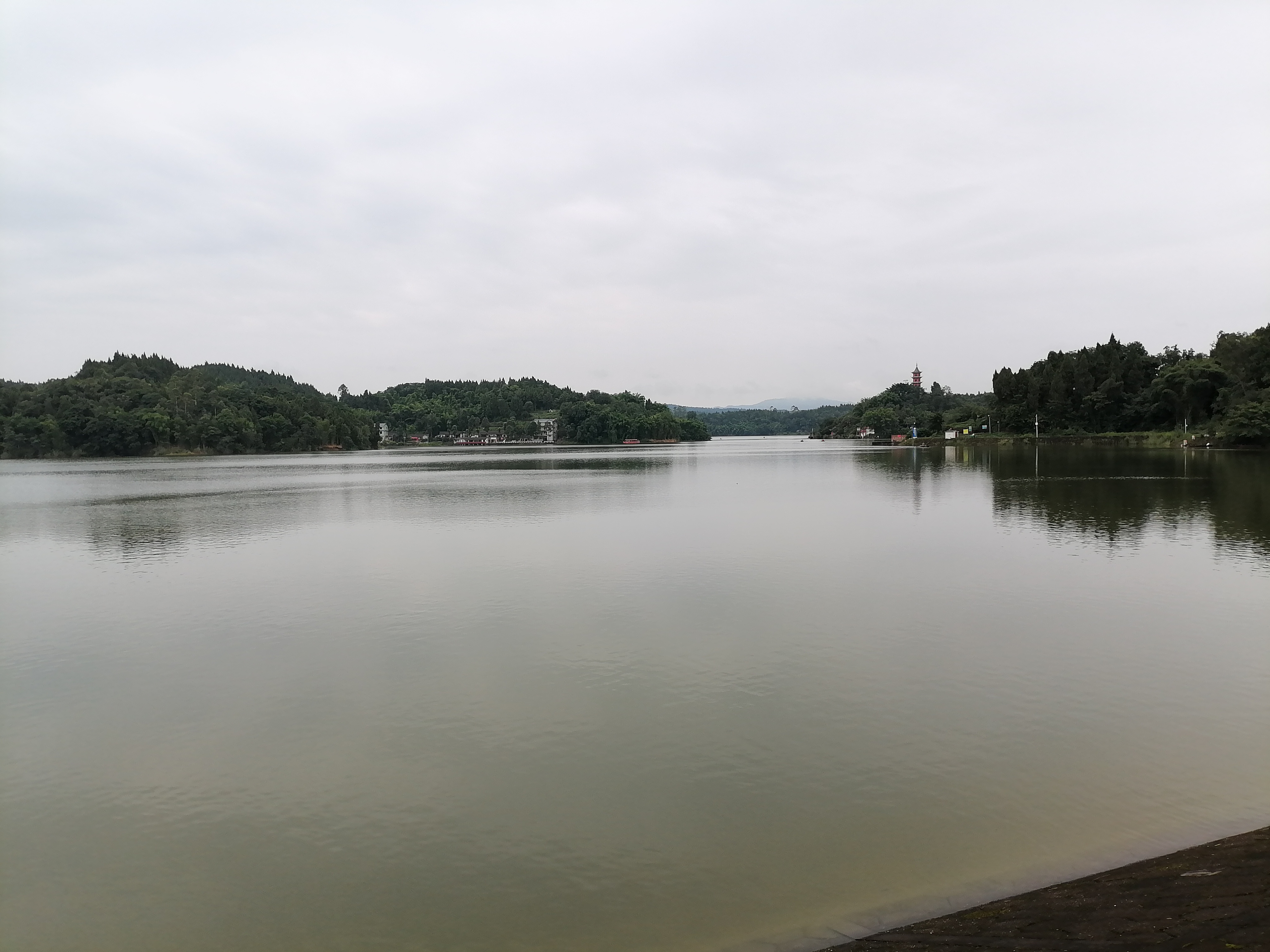 岳池响水水库!这只蝴蝶03一直在我身边[祝福][福到][福到][福到]